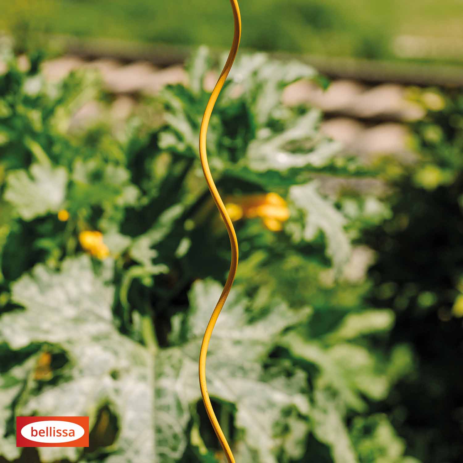 Bellissa Tomatenspirale Colorata 110