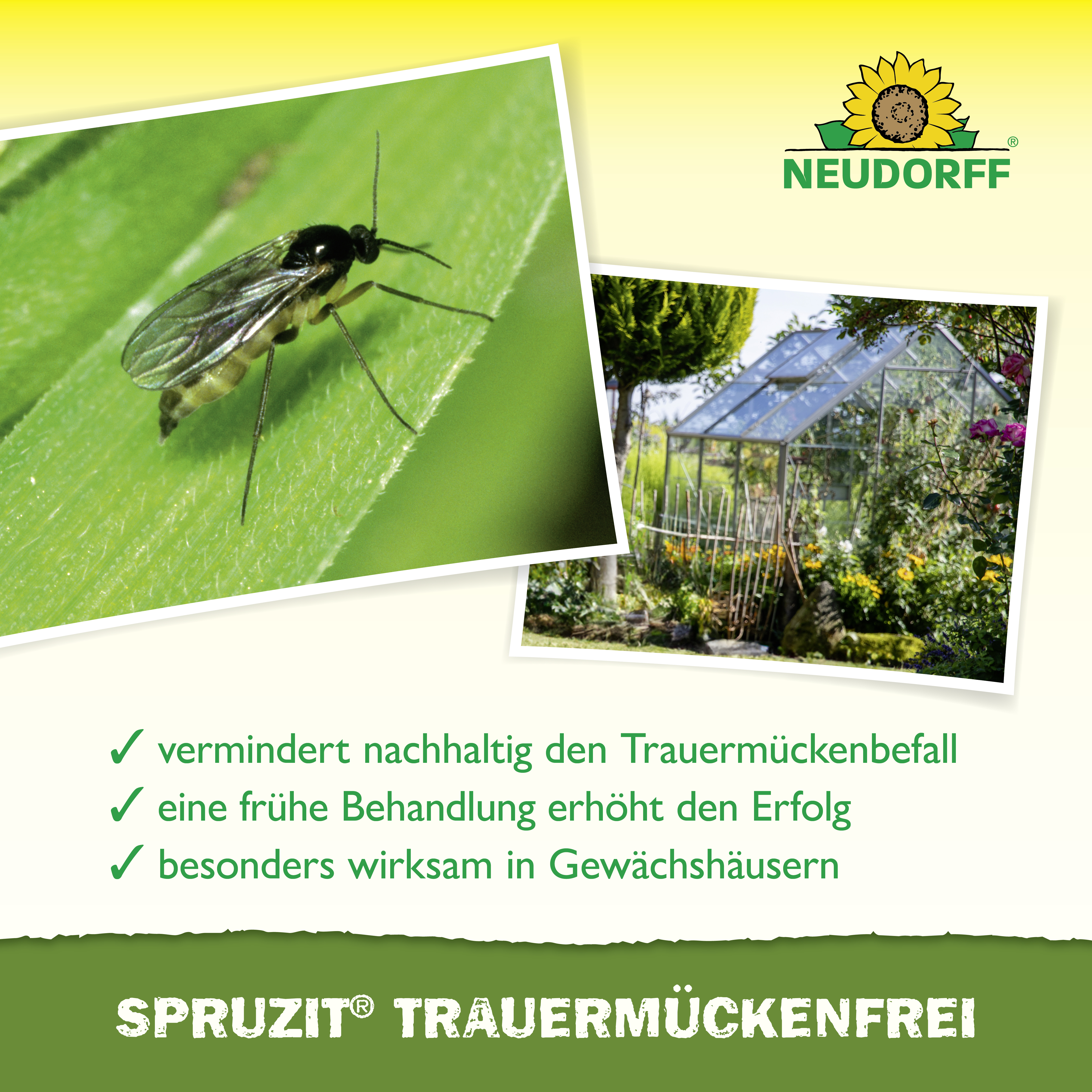 Neudorff Spruzit TrauermückenFrei, 30 ml