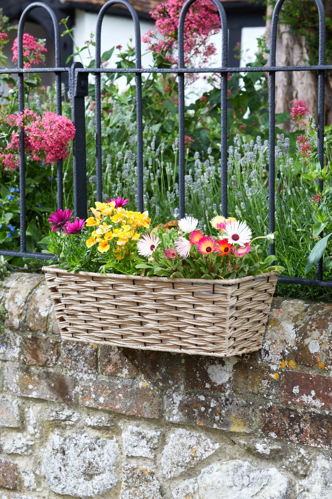 Smart Garden Bari Kunst-Rattan Pflanzgefäß - Sand 48 cm
