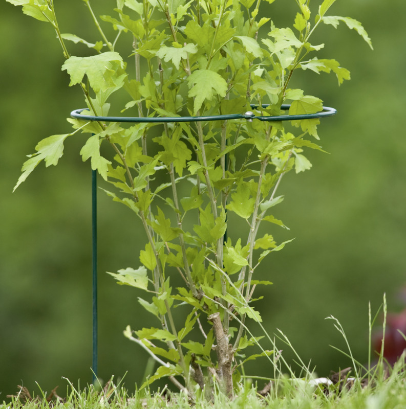 Windhager Staudenstütze Flexibel, 30 x 70 cm, grün Windhager Staudenstütze Flexibel, 30 x 70 cm, grün