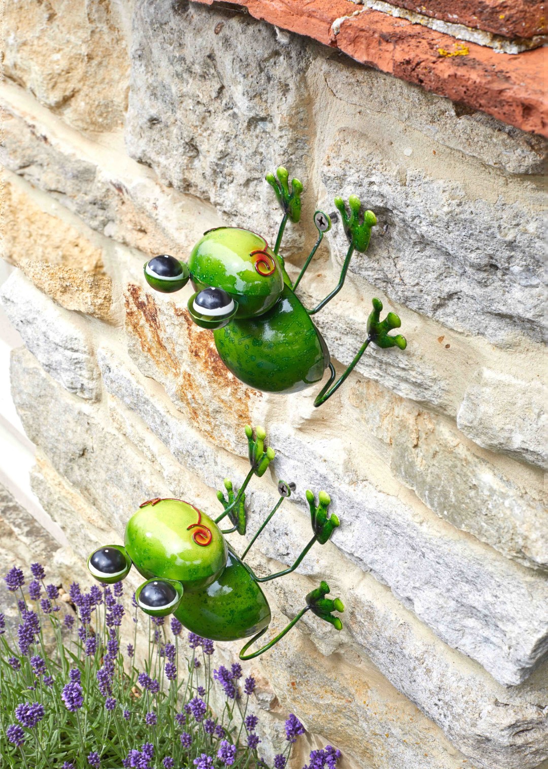 Smart Garden Aufhänger Frosch Medium