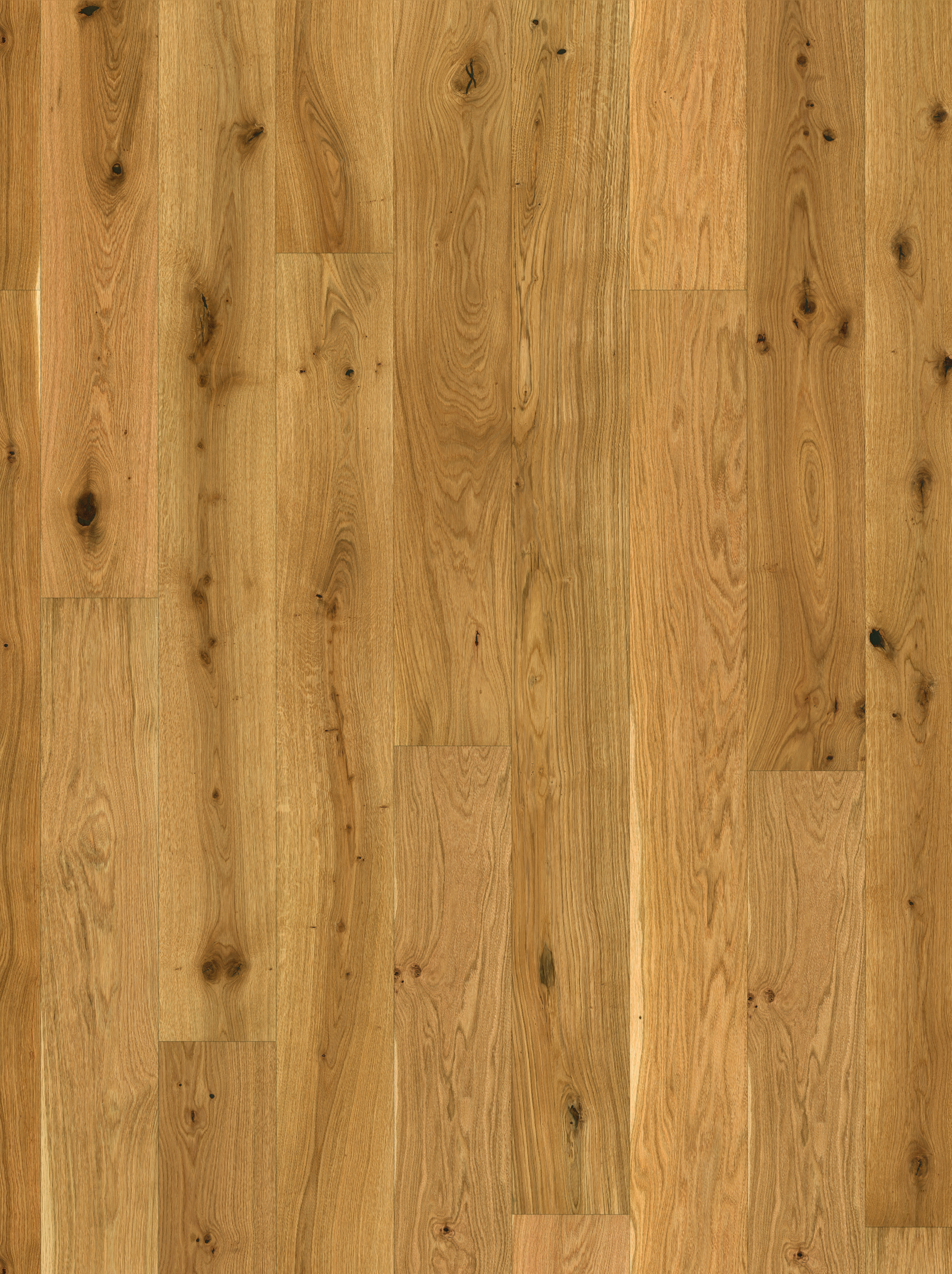 Parador Aktion Parkett Eiche gebürstet naturöl plus Lanhausdiele 4-seitige Minifase