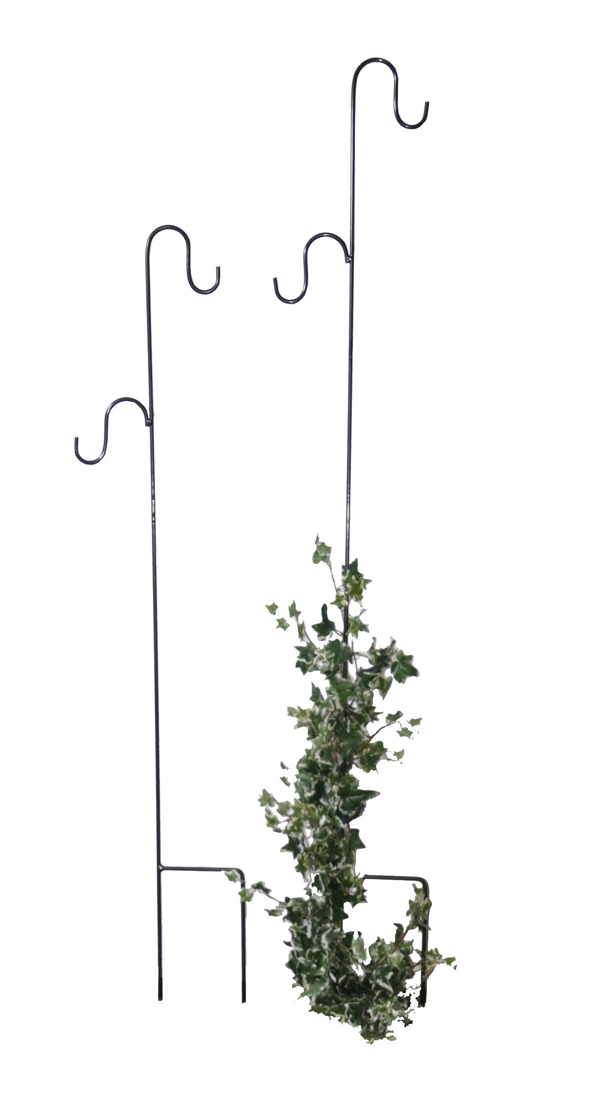 Pink Garten Hirtenstab Konrad 170, schwarz, PE coatet