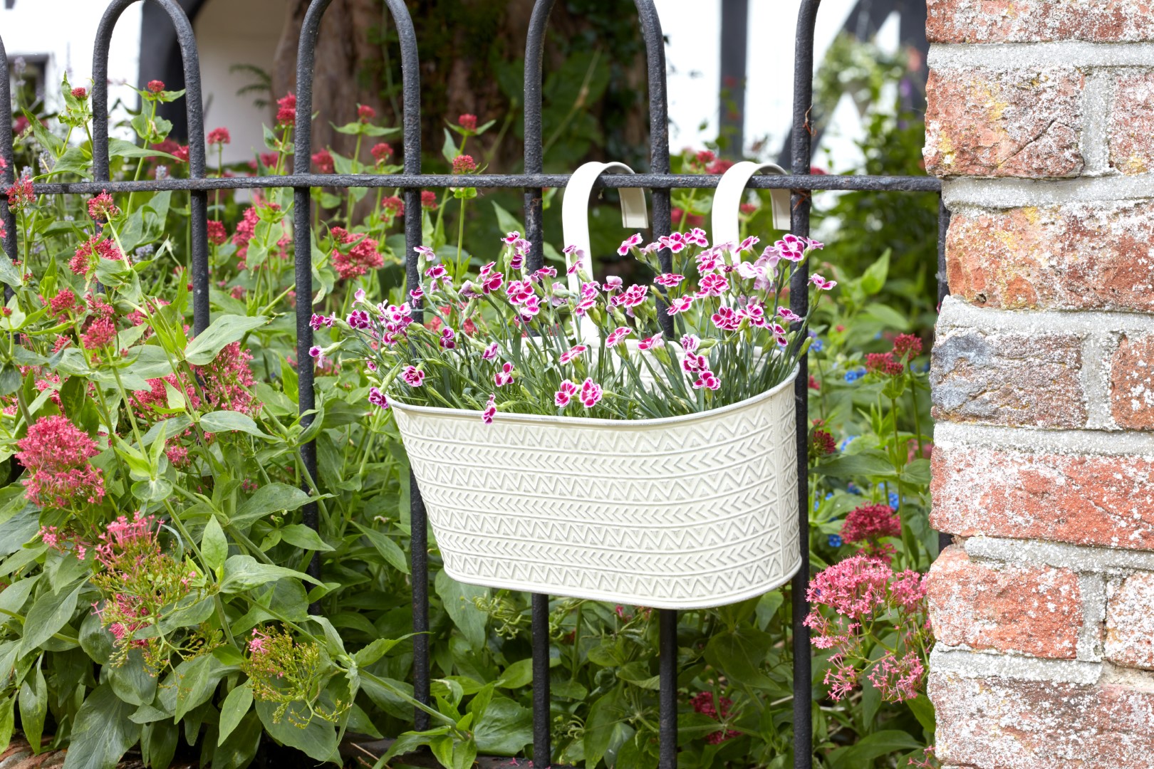 Smart Garden Blumentopf hängend, azteke