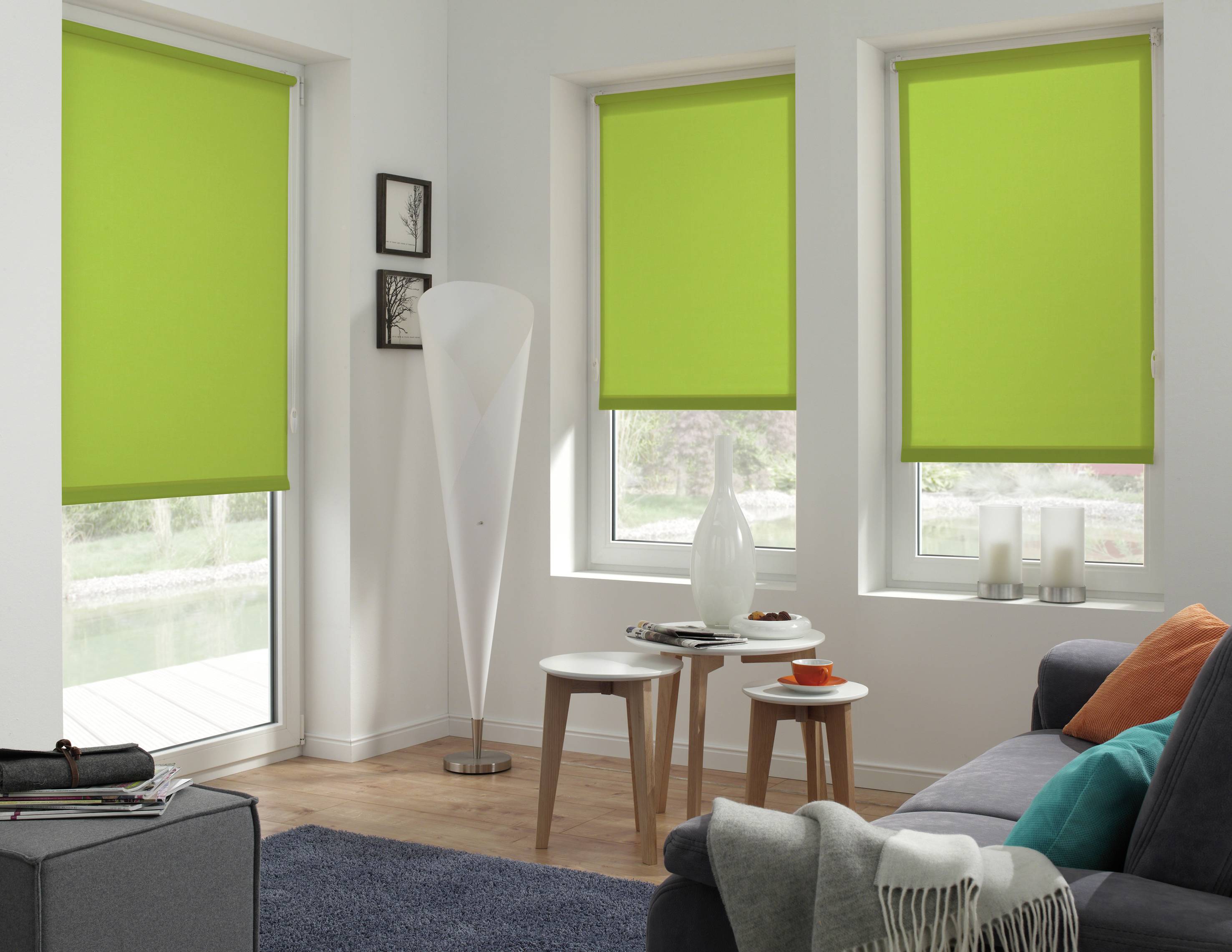 273007_06 GARDINIA EASYFIX ROLLO APFEL 60X150