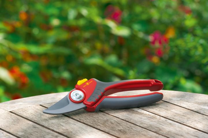 4009269304887-650_73_RR4000_B10_2018_01_73CFA004650 GARTENSCHERE AMBOSS RS 4000 MTD