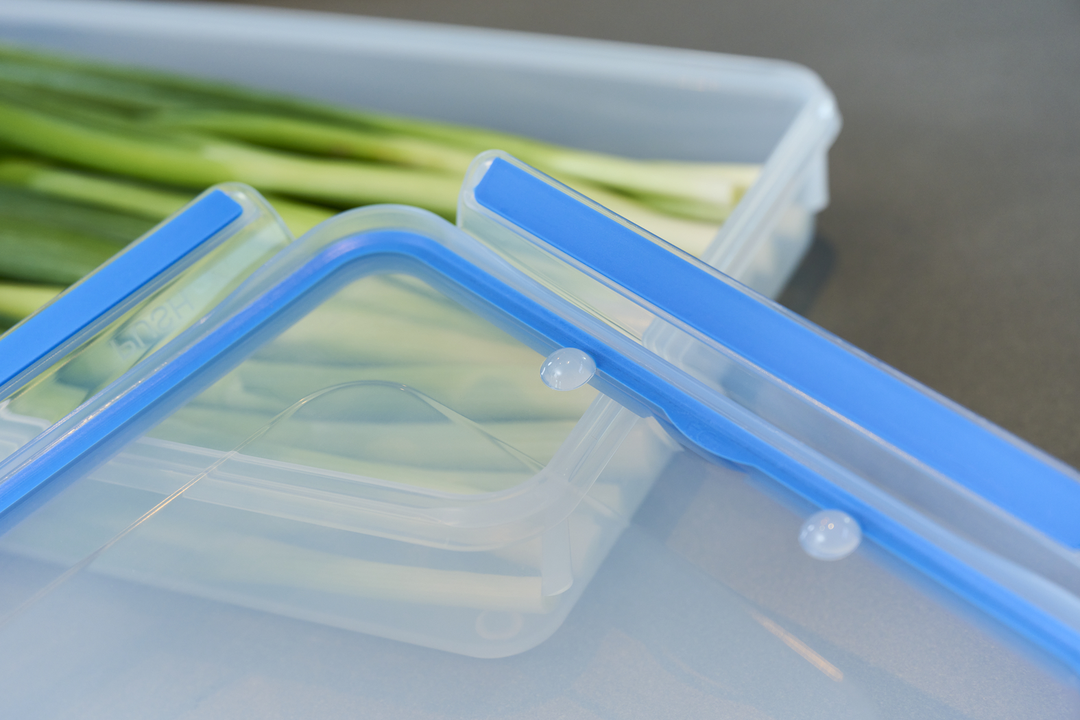 EMSA Clip & Close Frischhaltedose 2,6 L, rechteckig EMSA Clip & Close Frischhaltedose 2,6 L, rechteckig