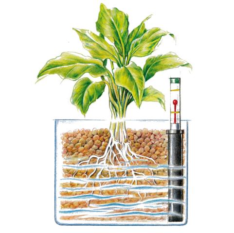 702972-3-pt03 WESTLAND TONGRANULAT 25L