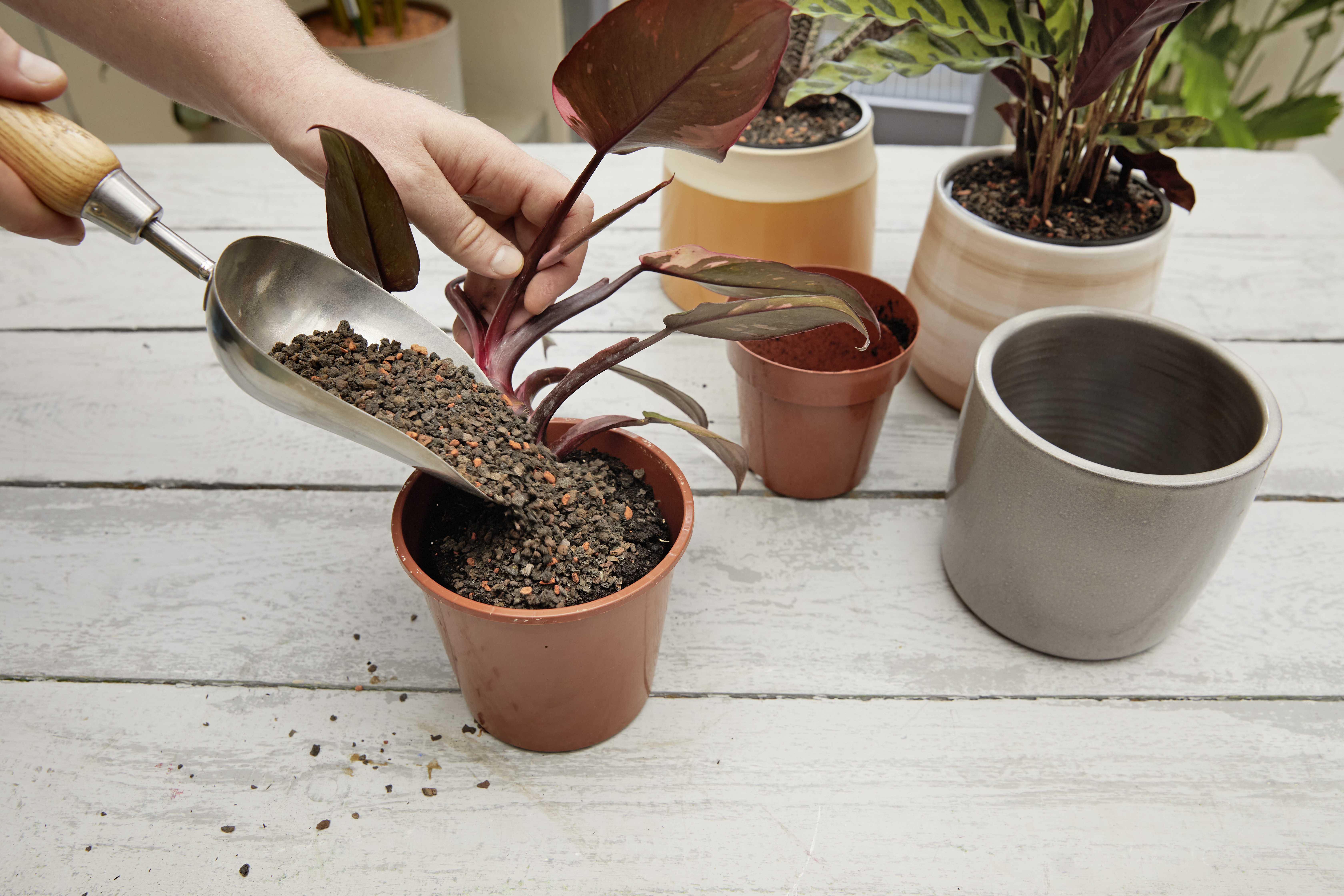 Westland Por Universal-Granulat-Mix, 6L