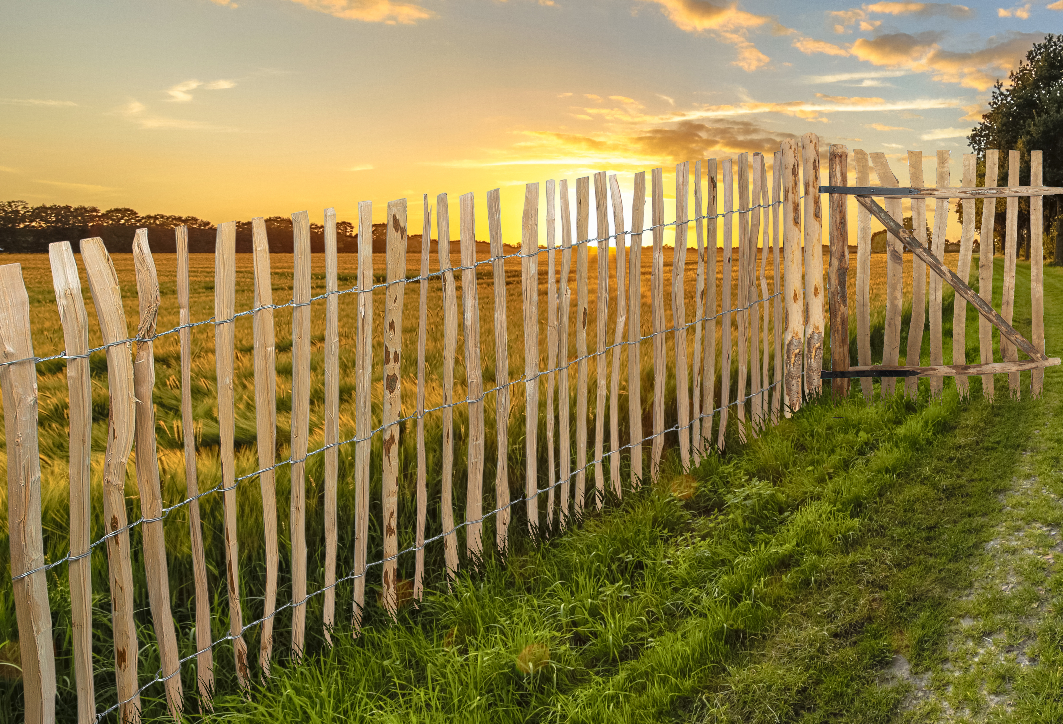 Floraworld Natur-Gartenzaun Haselnuss, H: 90 cm, L: 5 m Floraworld Natur-Gartenzaun Haselnuss, H: 90 cm, L: 5 m