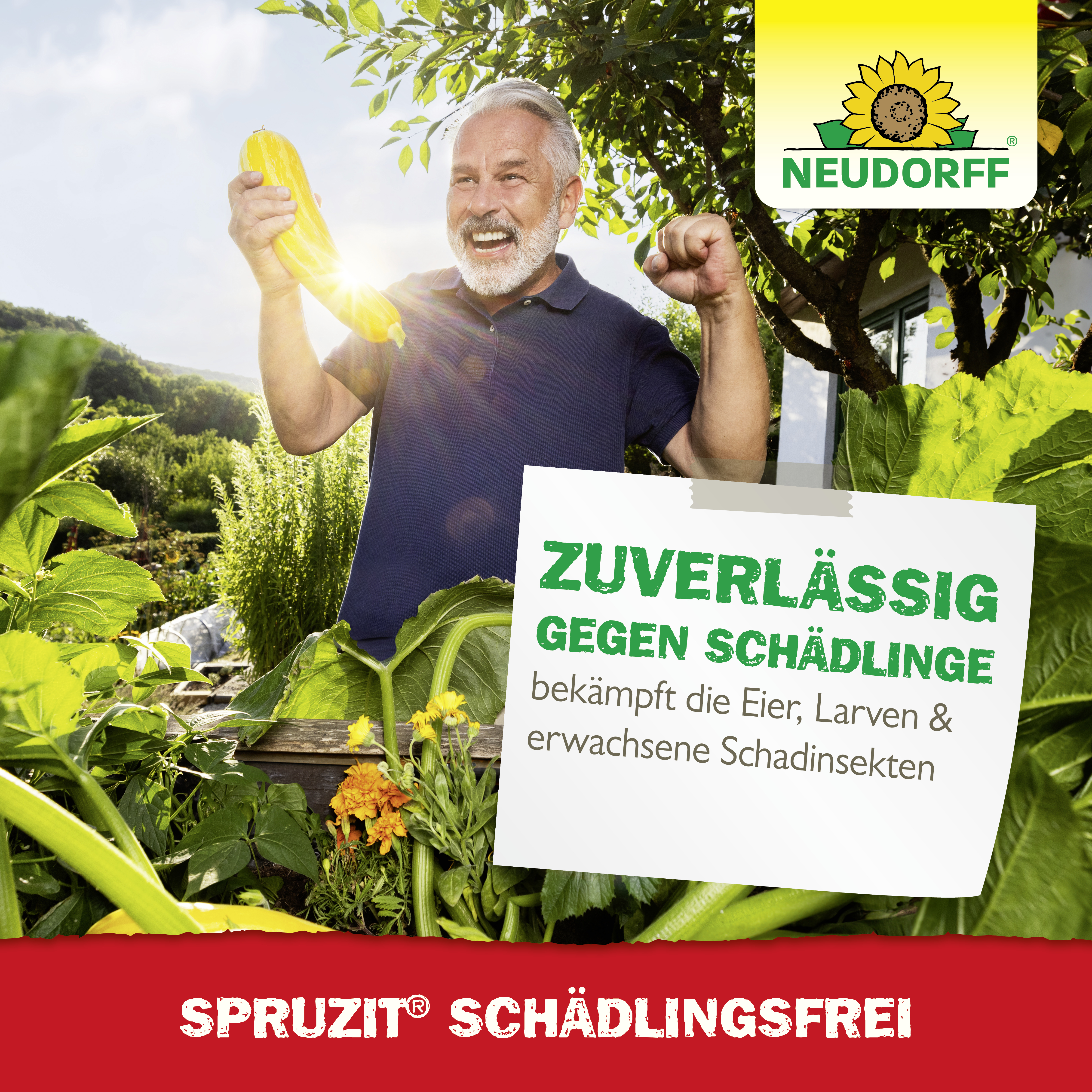 Neudorff Spruzit Schädlingsfrei, 250 ml