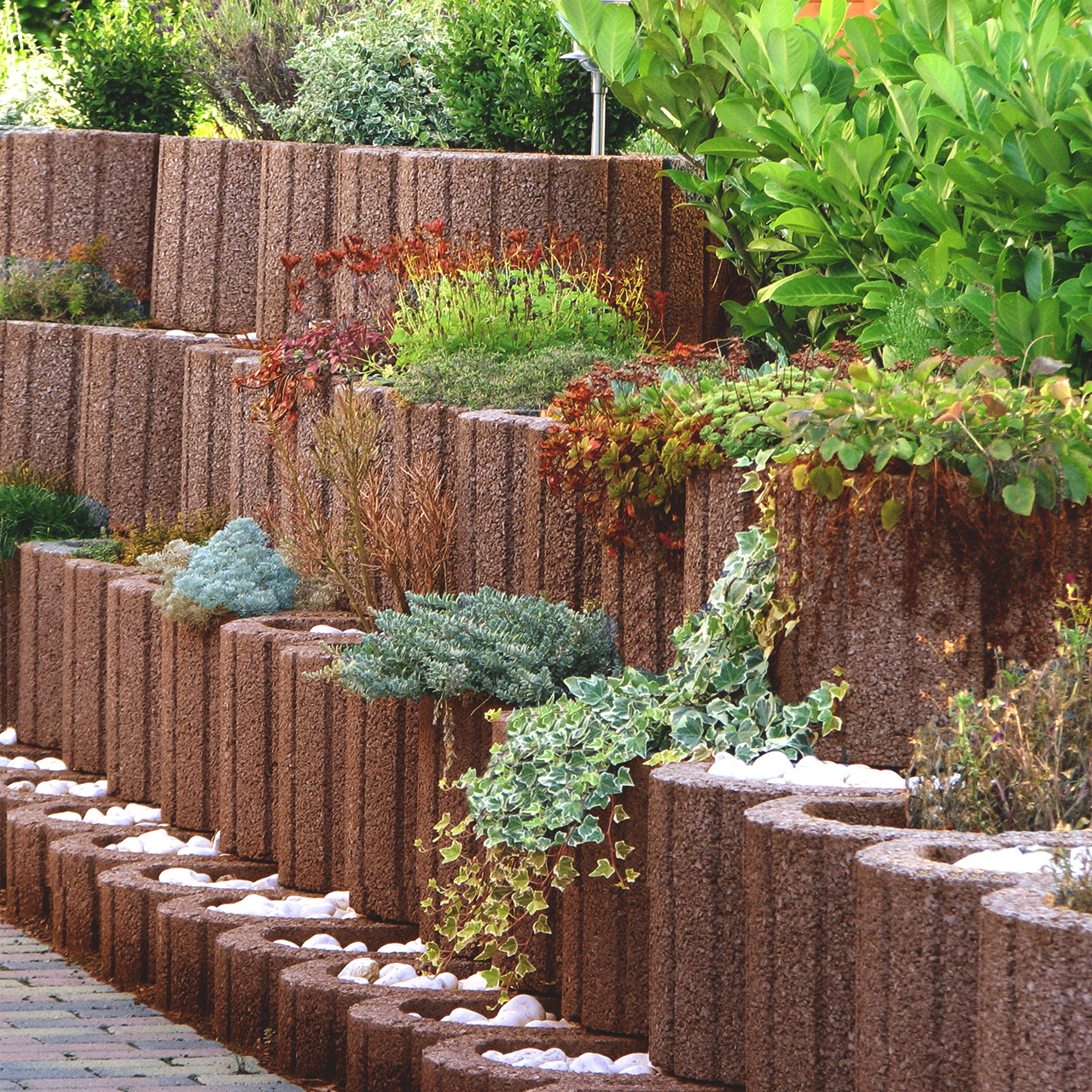 259601_Szene1 Kann Pflanzring groß