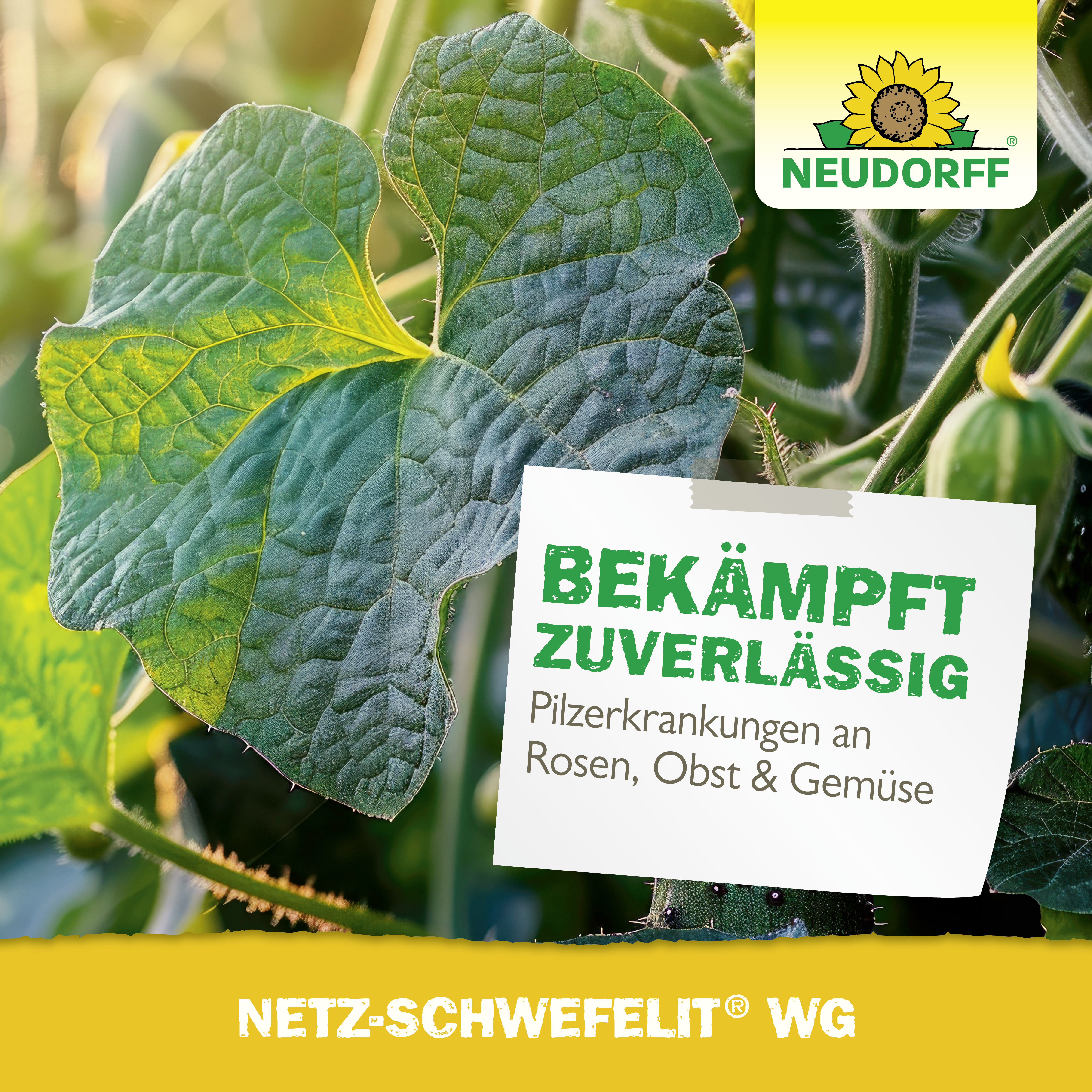 Neudorff Netz-Schwefelit WG
