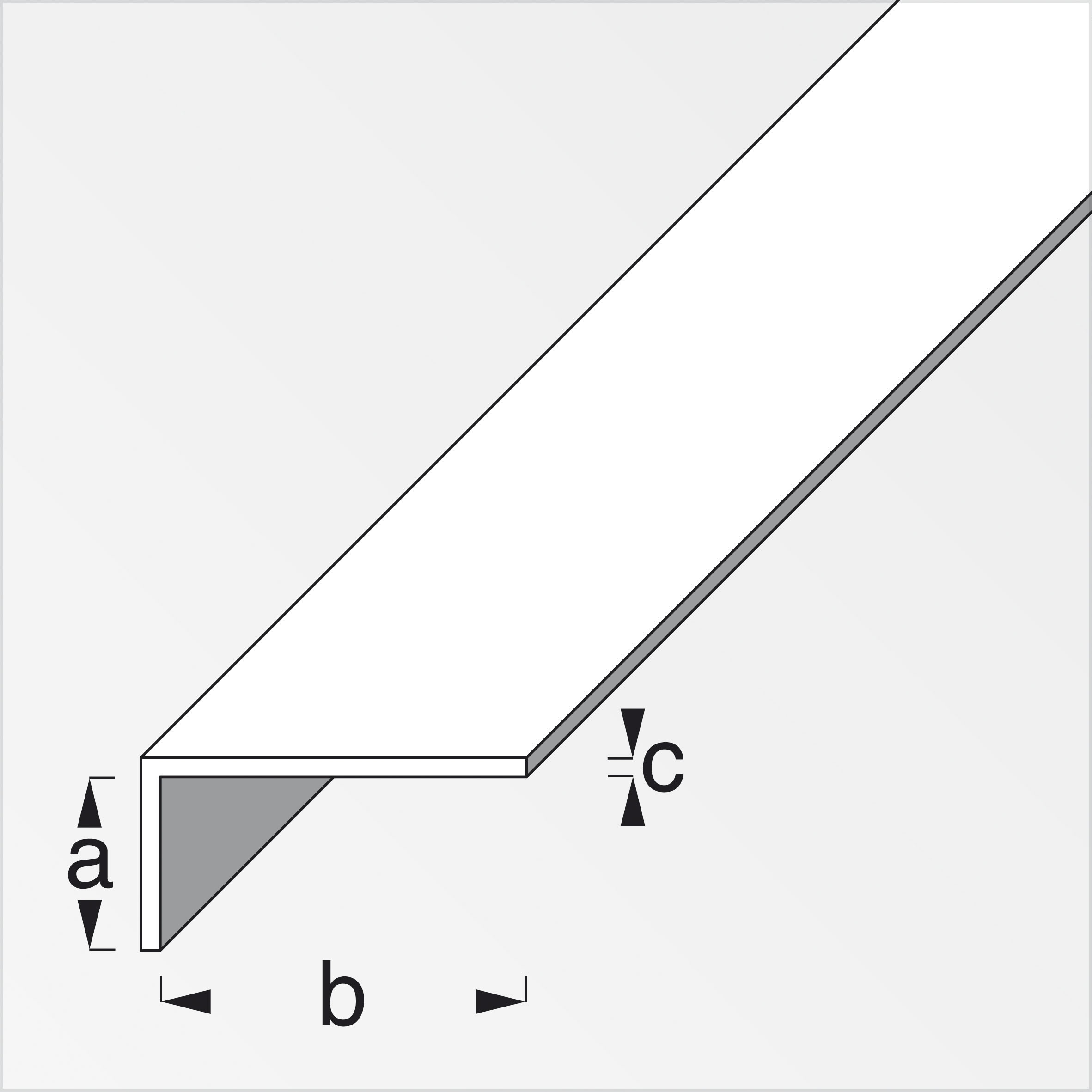 Alfer Winkel, ungleichschenklig, 1 m x 19 x 22 x 1,4 mm