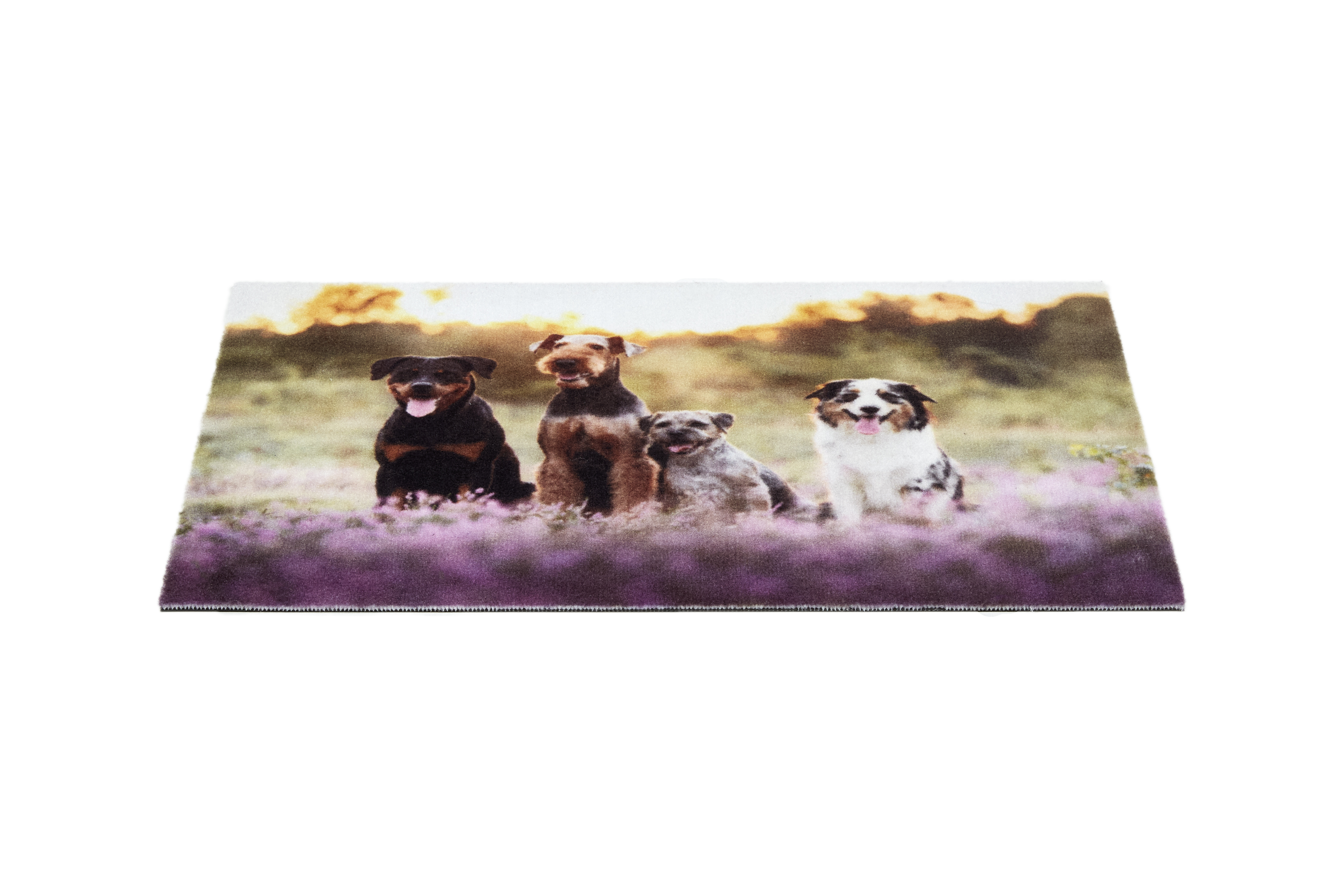 Astra Deco Print ca. 40x60cm D.107 C.999 Hunde