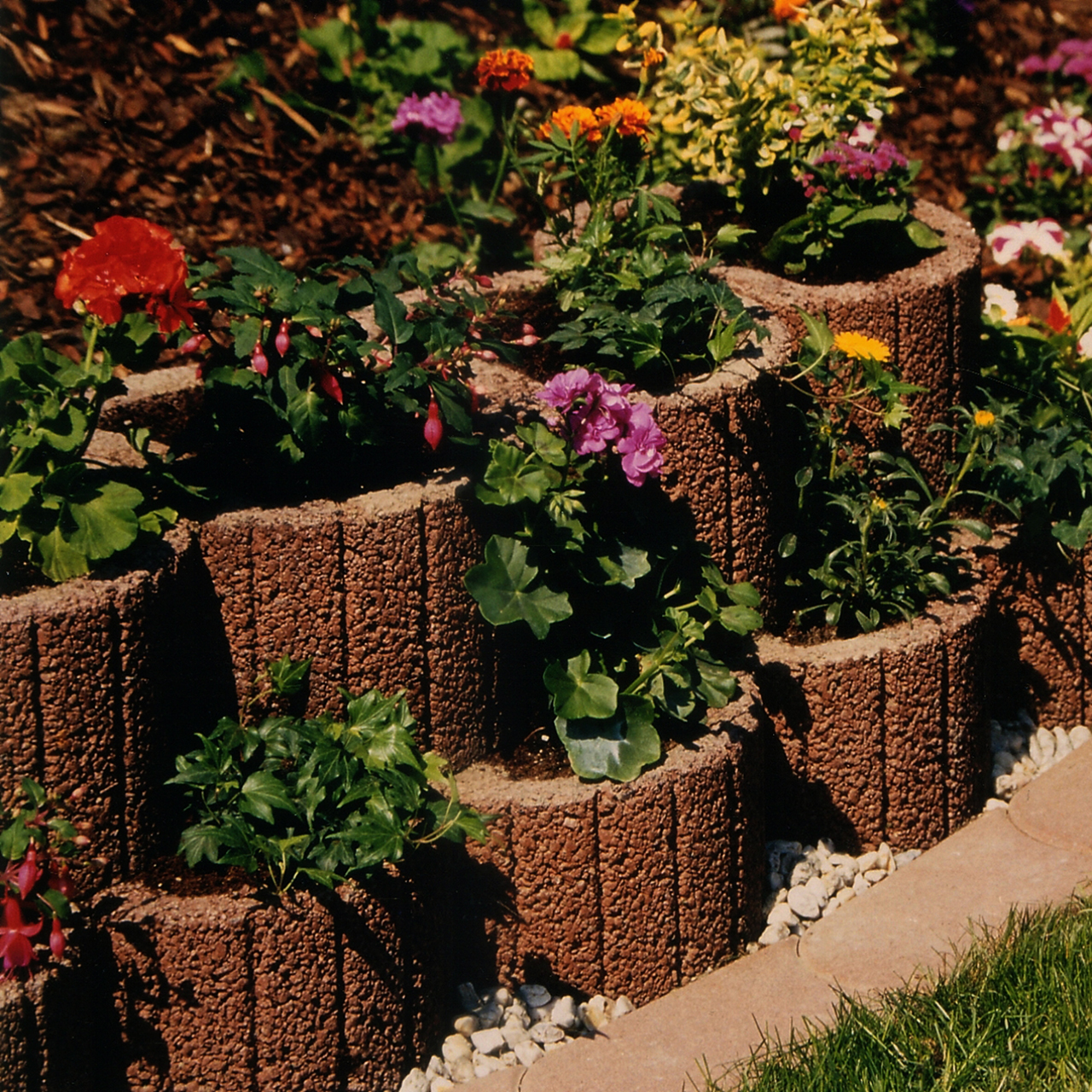 259599_Szene1 Kann Pflanzring klein