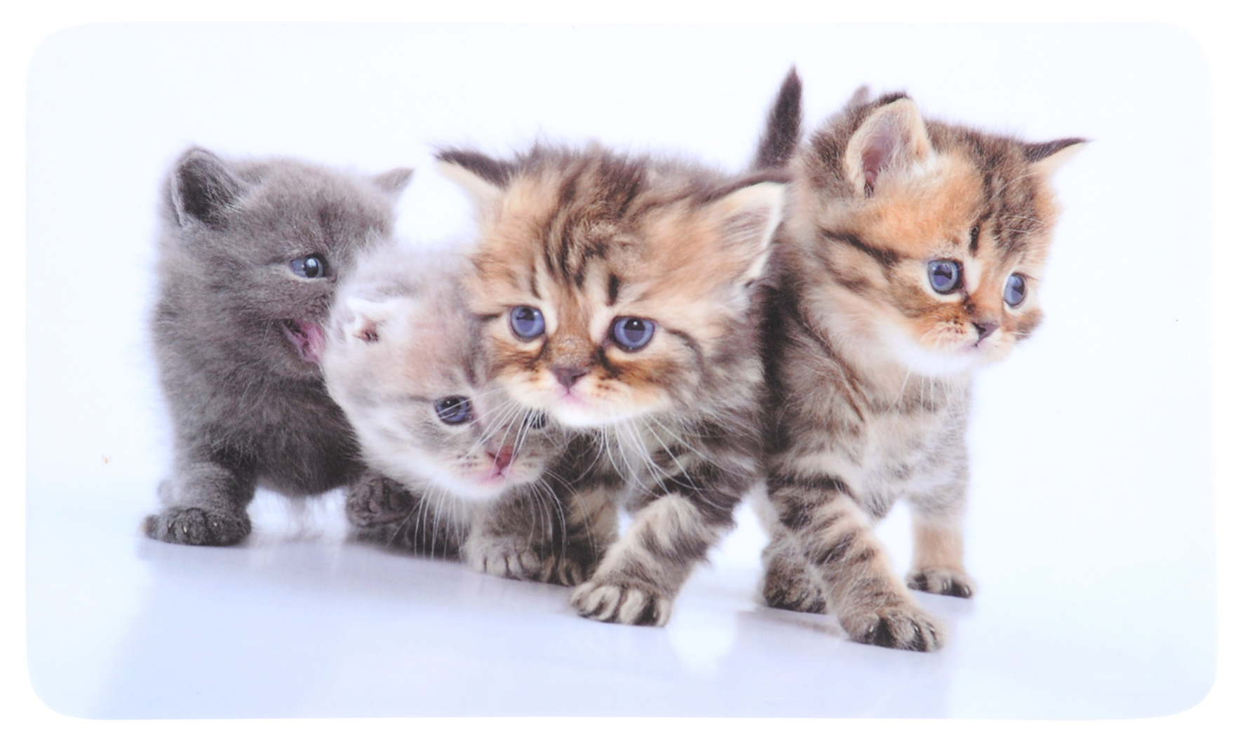 Kesper Frühstücksbrettchen, Melamin, Katze Kesper Frühstücksbrettchen, Melamin, Katze
