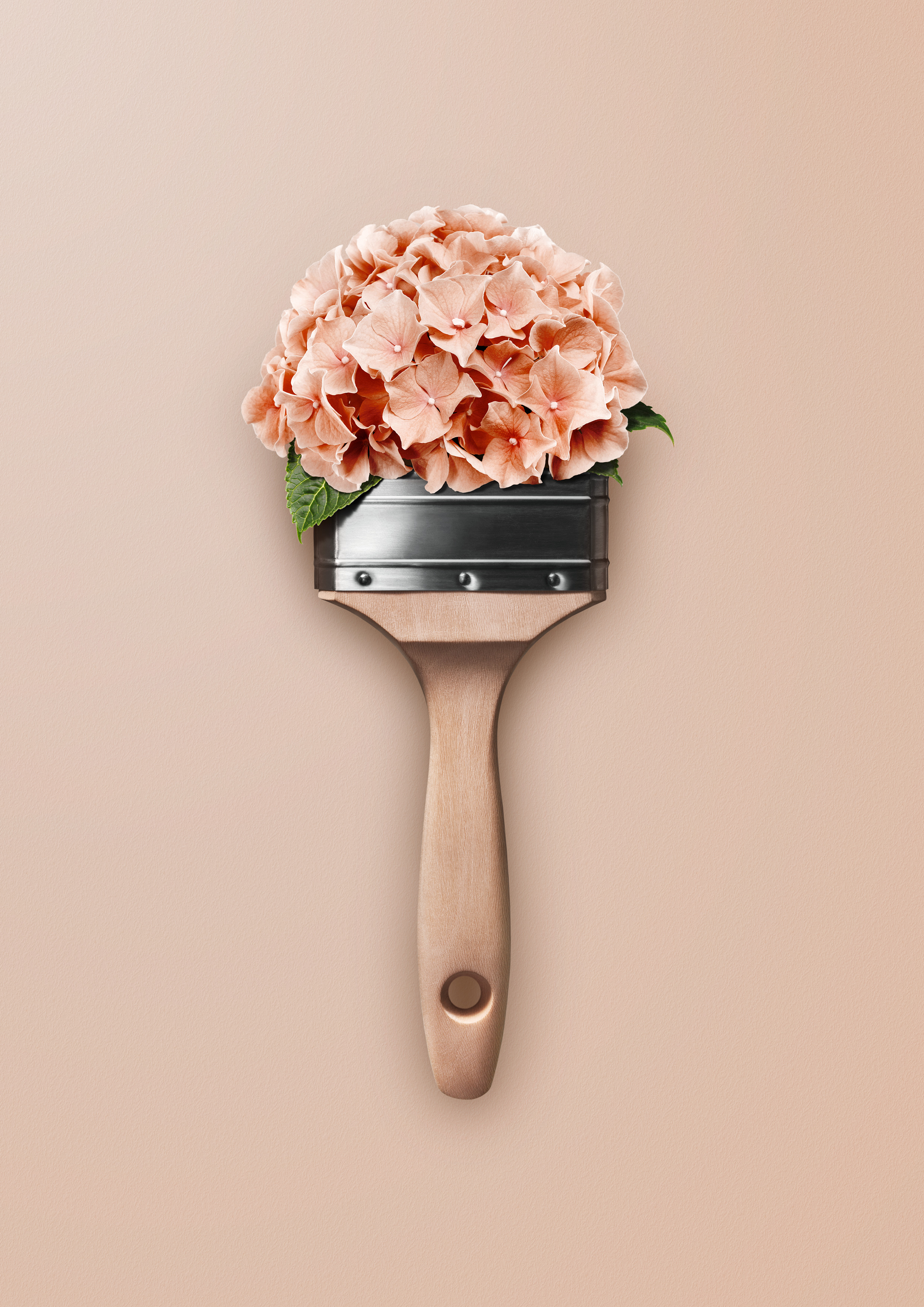 SW_TF-KV-Hortensie-A4 Schöner Wohnen Trendfarbe-Tester, hortensie matt