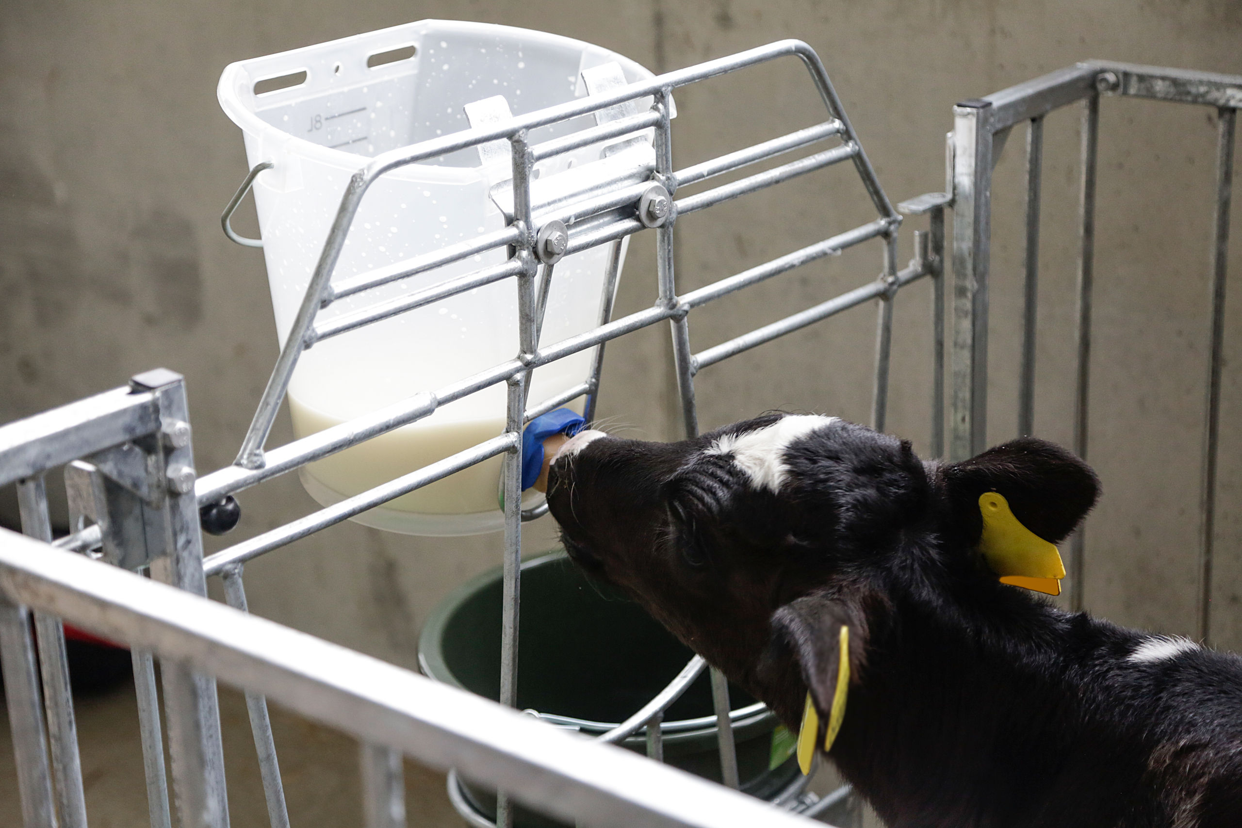 Kerbl Tränkeventil FixClip neu mit Naturkautschuk-Sauger