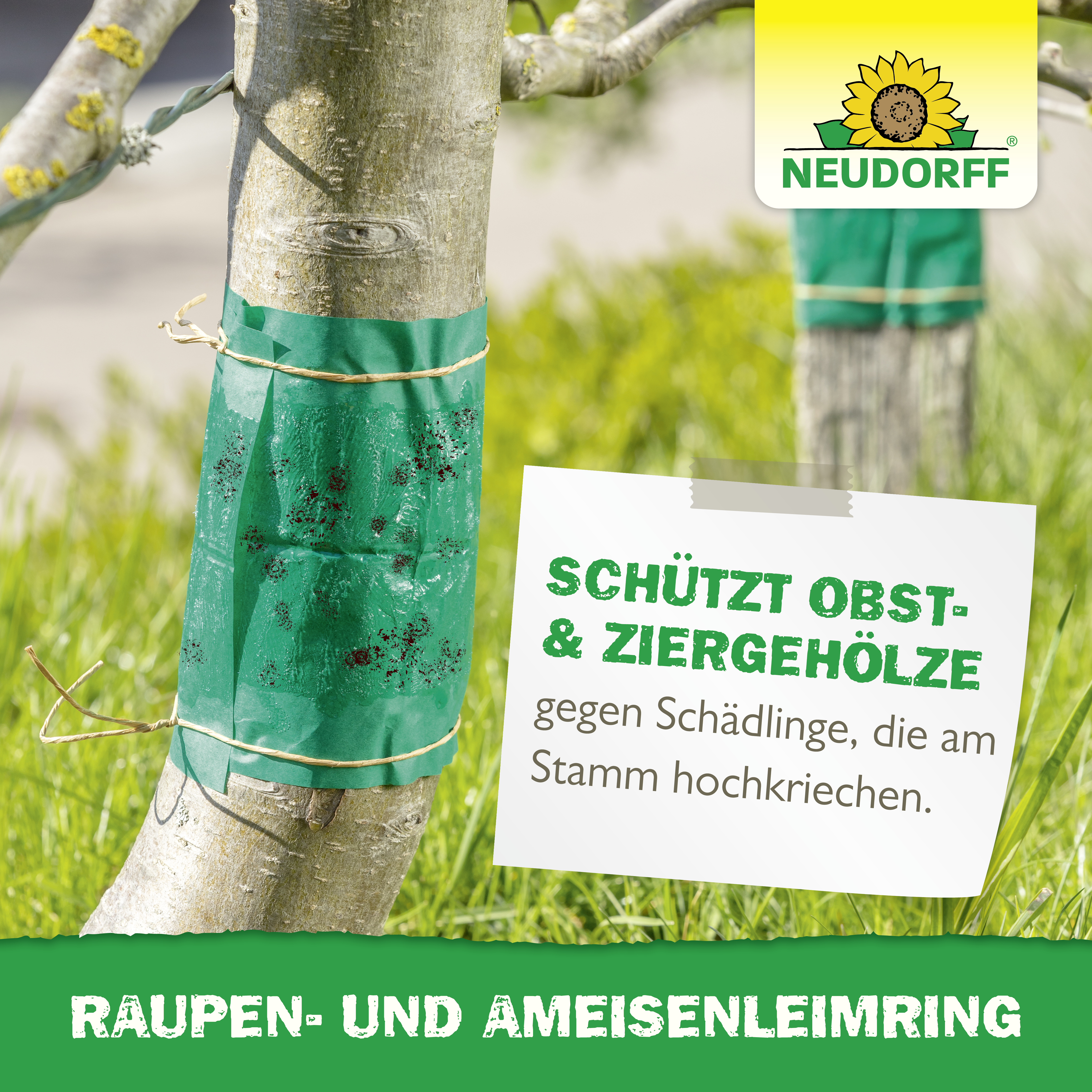 Neudorff Raupen-und AmeisenLeimring, 5 m