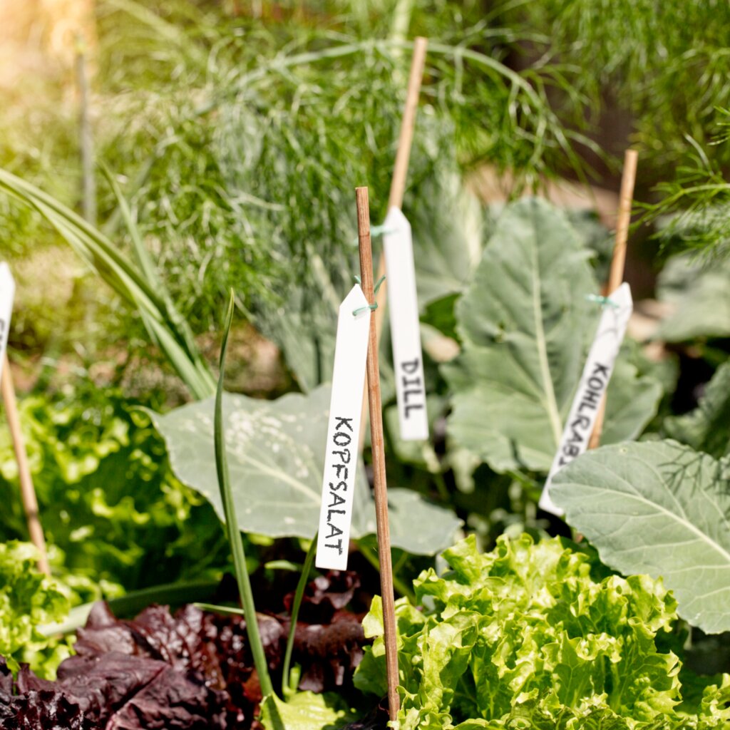 Bindeetiketten Bindeetiketten