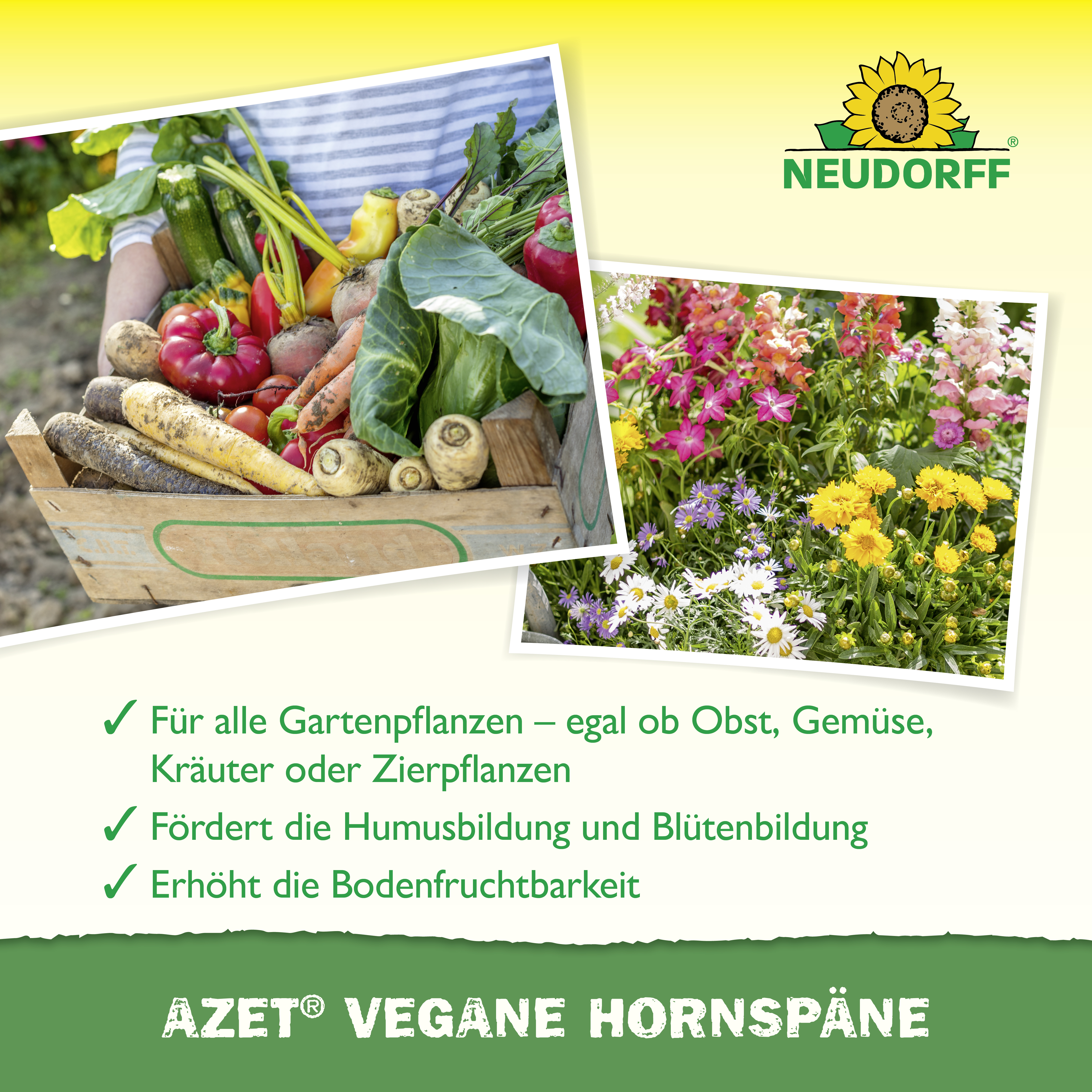 Neudorff Azet Vegane Hornspäne, 2,5 Kg