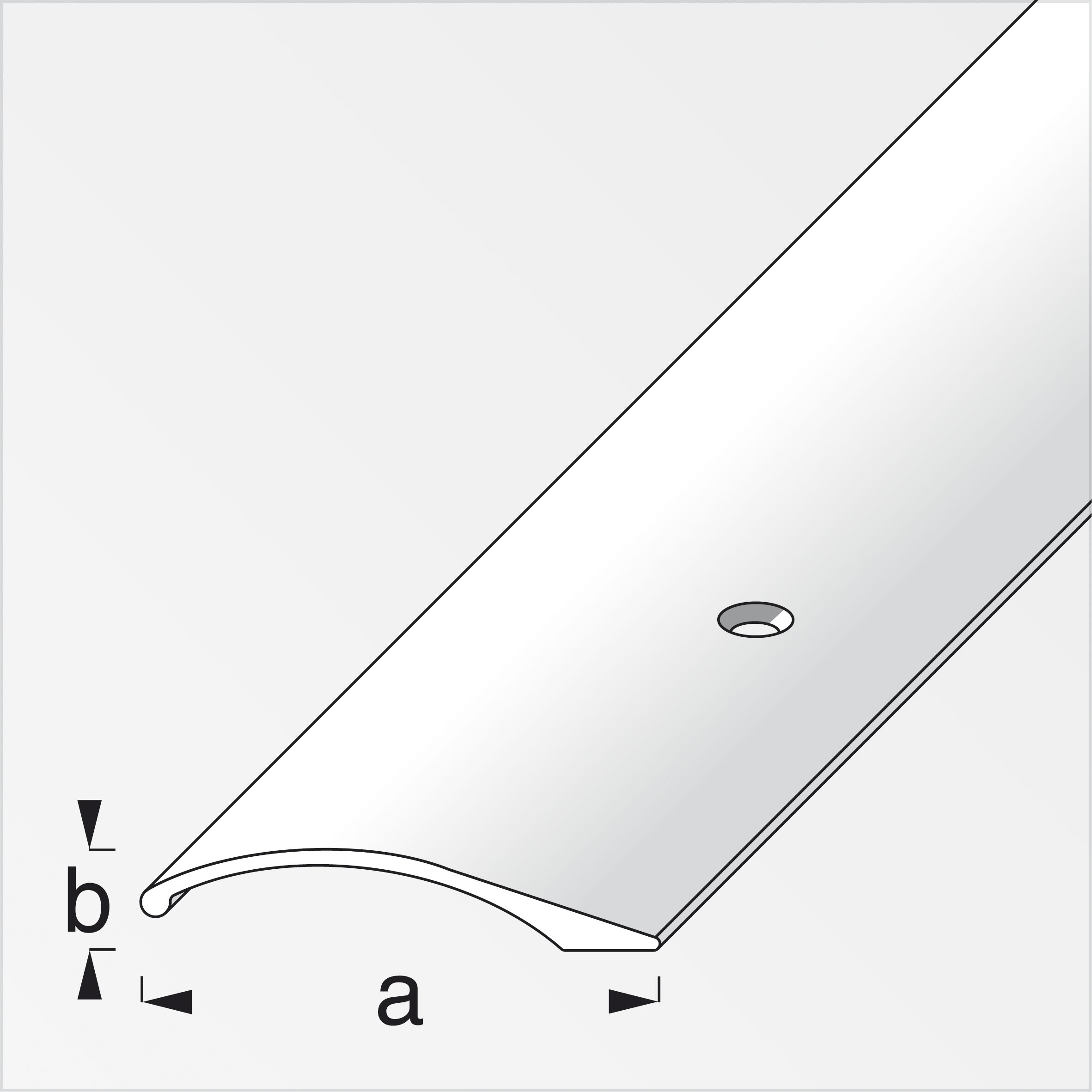 644442_Niveauausgleichs-Profil-1 Alfer Niveauausgleichs-Profil, 38,5 x 7,5 mm, silber