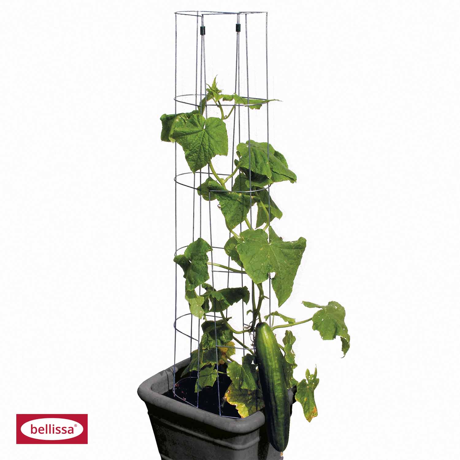 303379-2 GURKENTURM 120CM