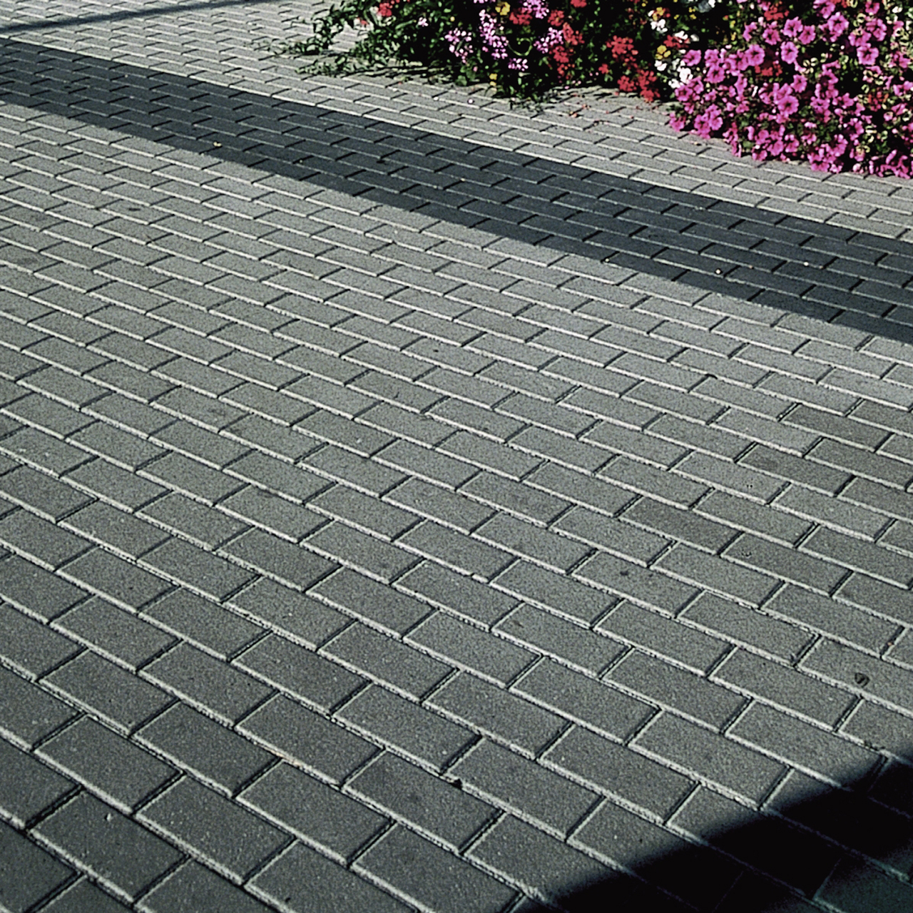 259691_Szene1 Kann Rechteckpflaster, 20 x 10 x 6 cm, grau