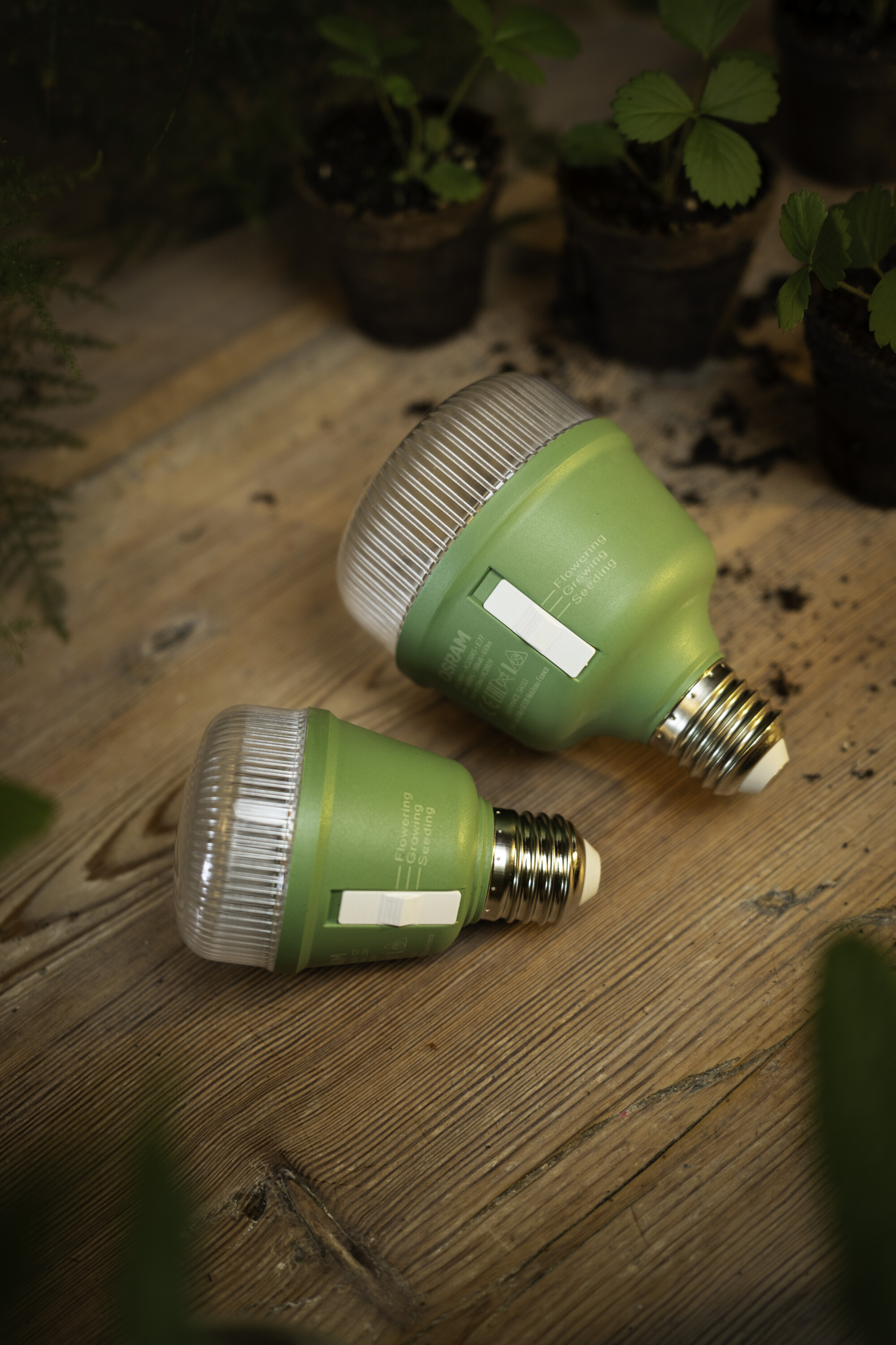 Osram LED Leuchtmittel Star Grow, klar, E27