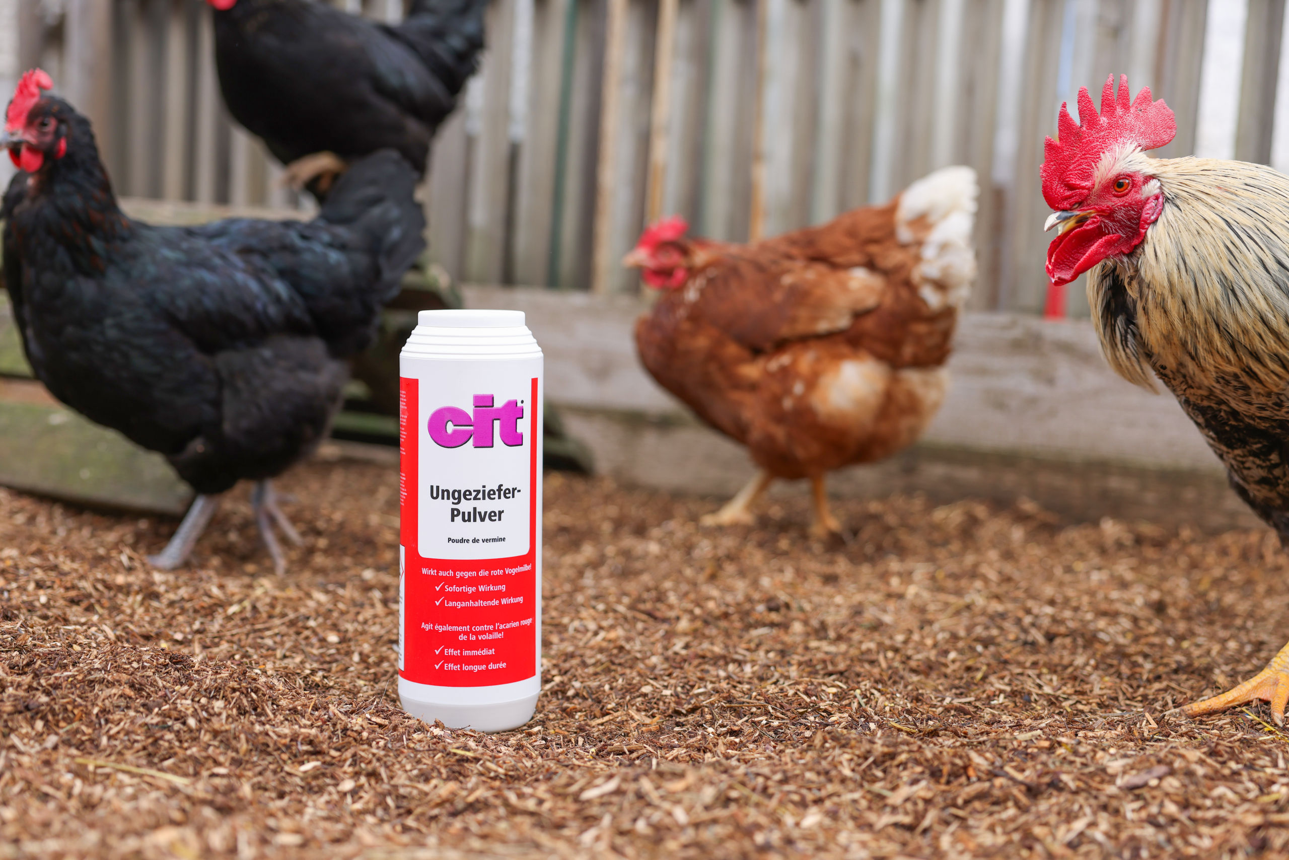 Kerbl Ungezieferpulver, 500 g Kerbl Ungezieferpulver, 500 g