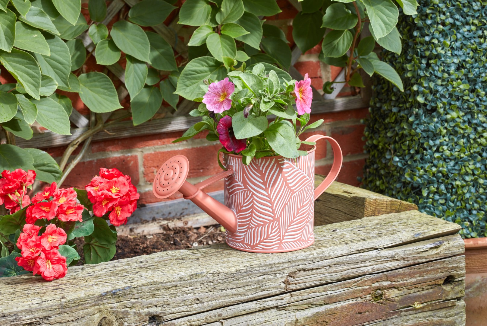 Smart Garden Pflanzkübel Farn, Terrakotta