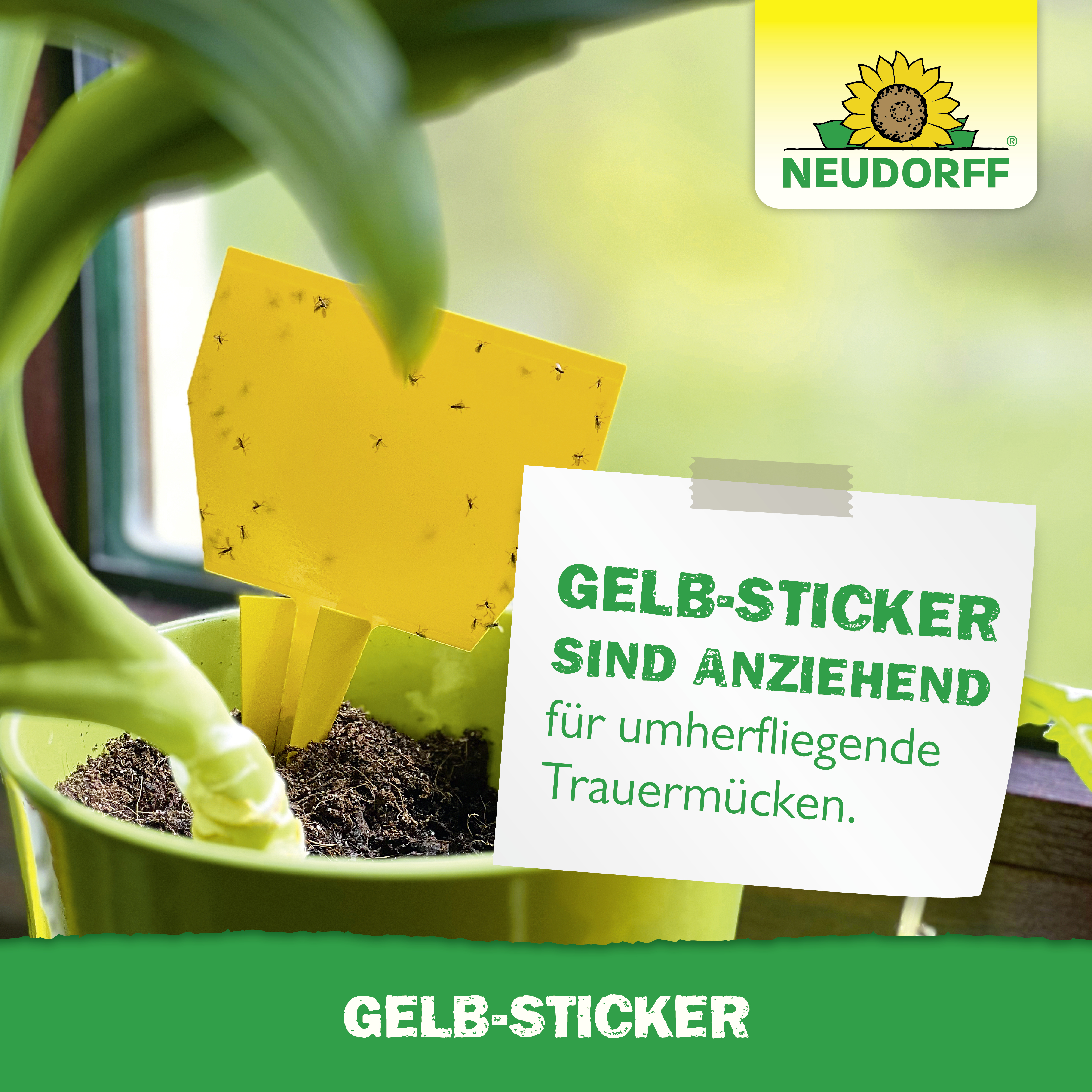 Neudorff Gelb-Sticker
