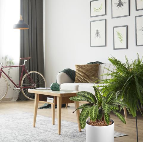 703044-4-pt04 WESTLAND TONGRANULAT 45L