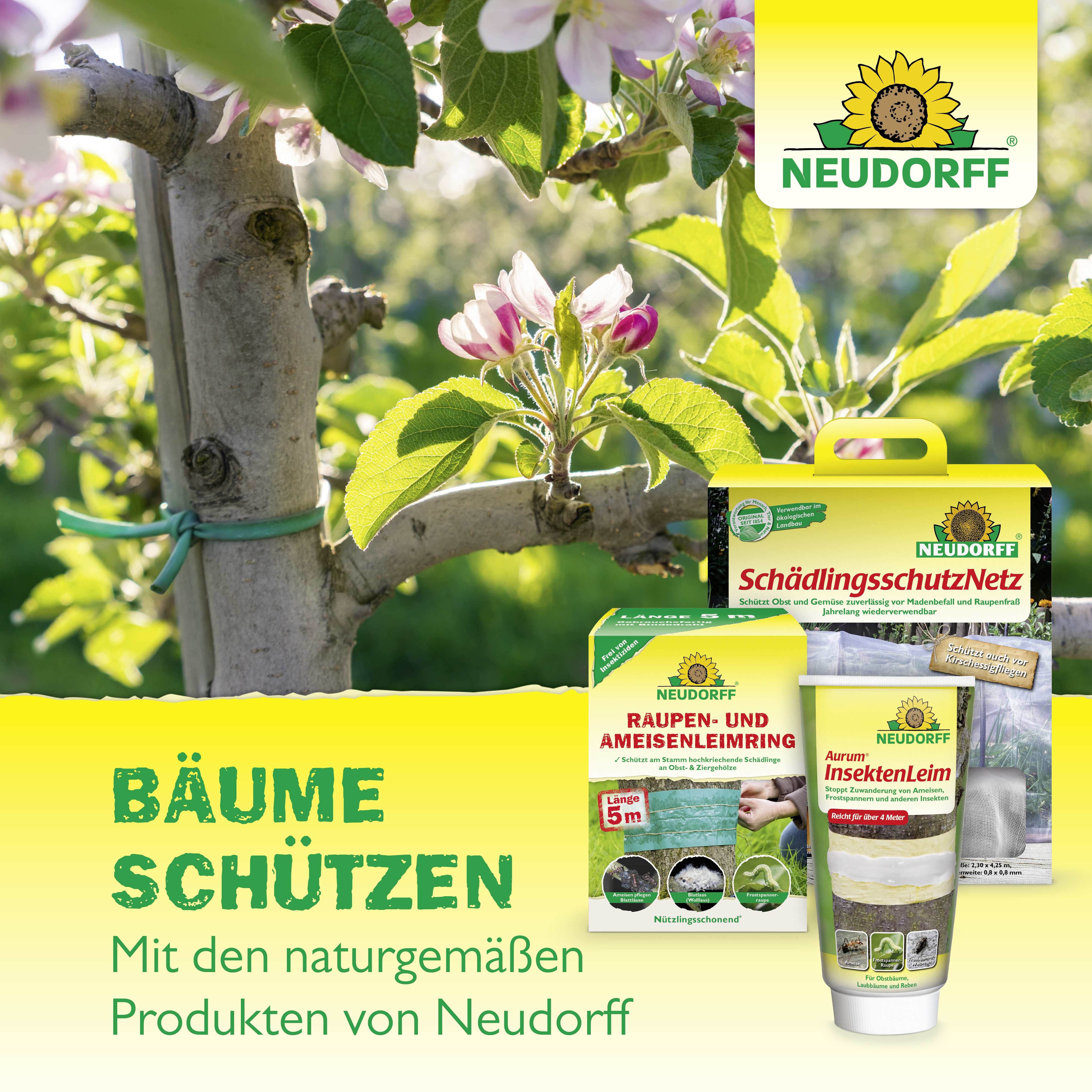 Neudorff Baumanstrich, 2 l