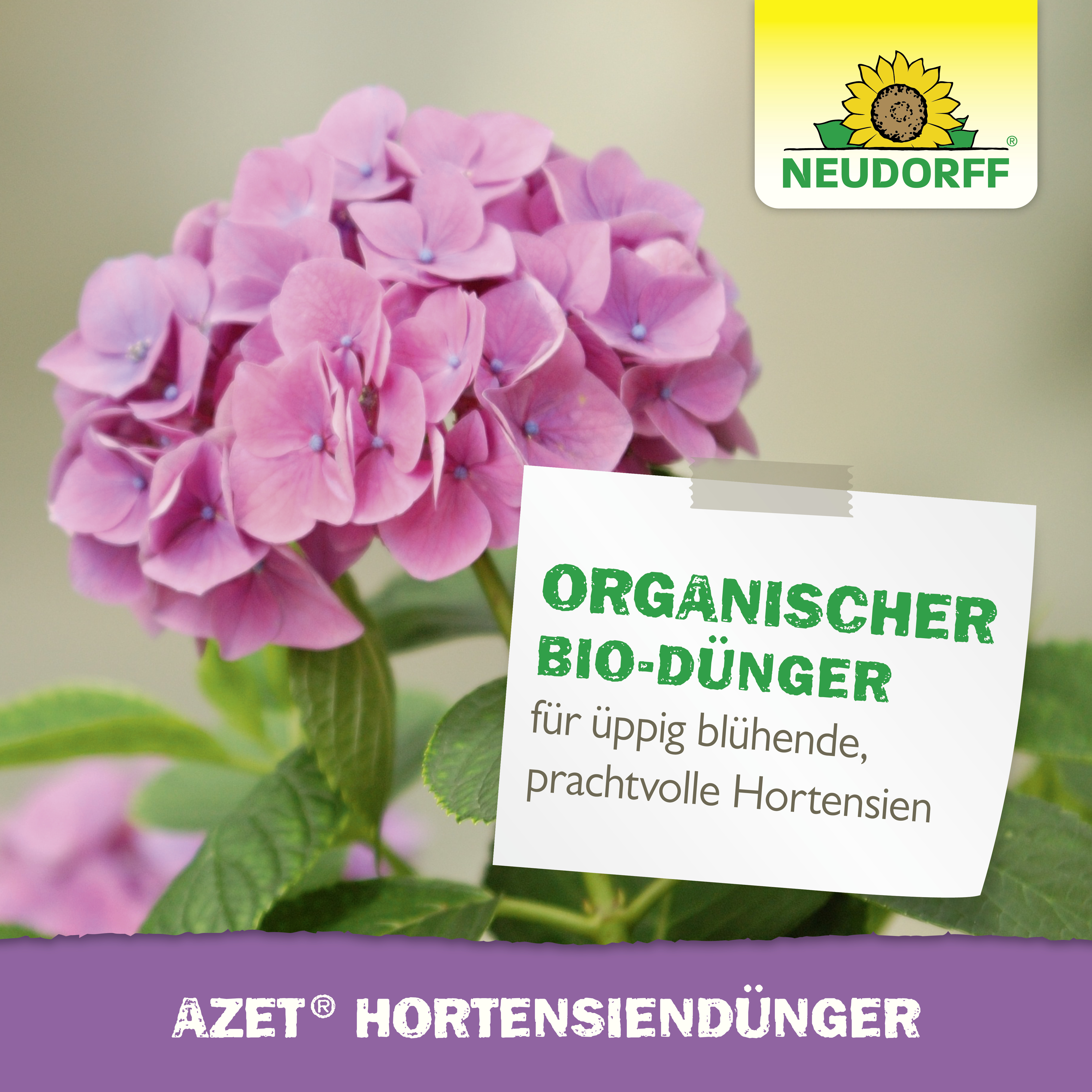 Neudorff Azet HortensienDünger, 1 l