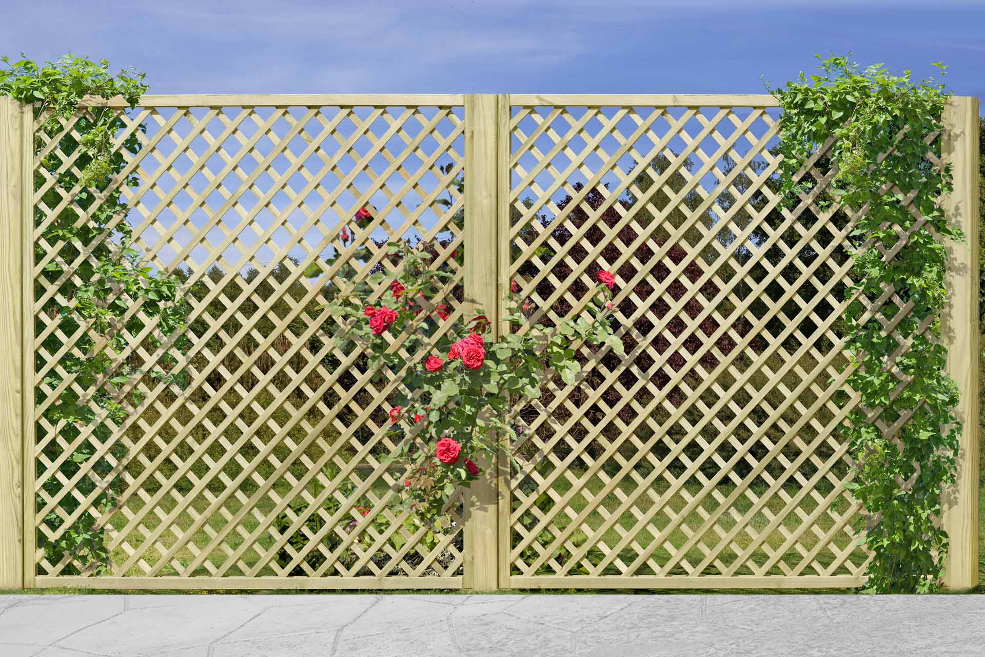 Delta Rankzaun, KDI grün, 180 x 180 cm Delta Rankzaun, KDI grün, 180 x 180 cm