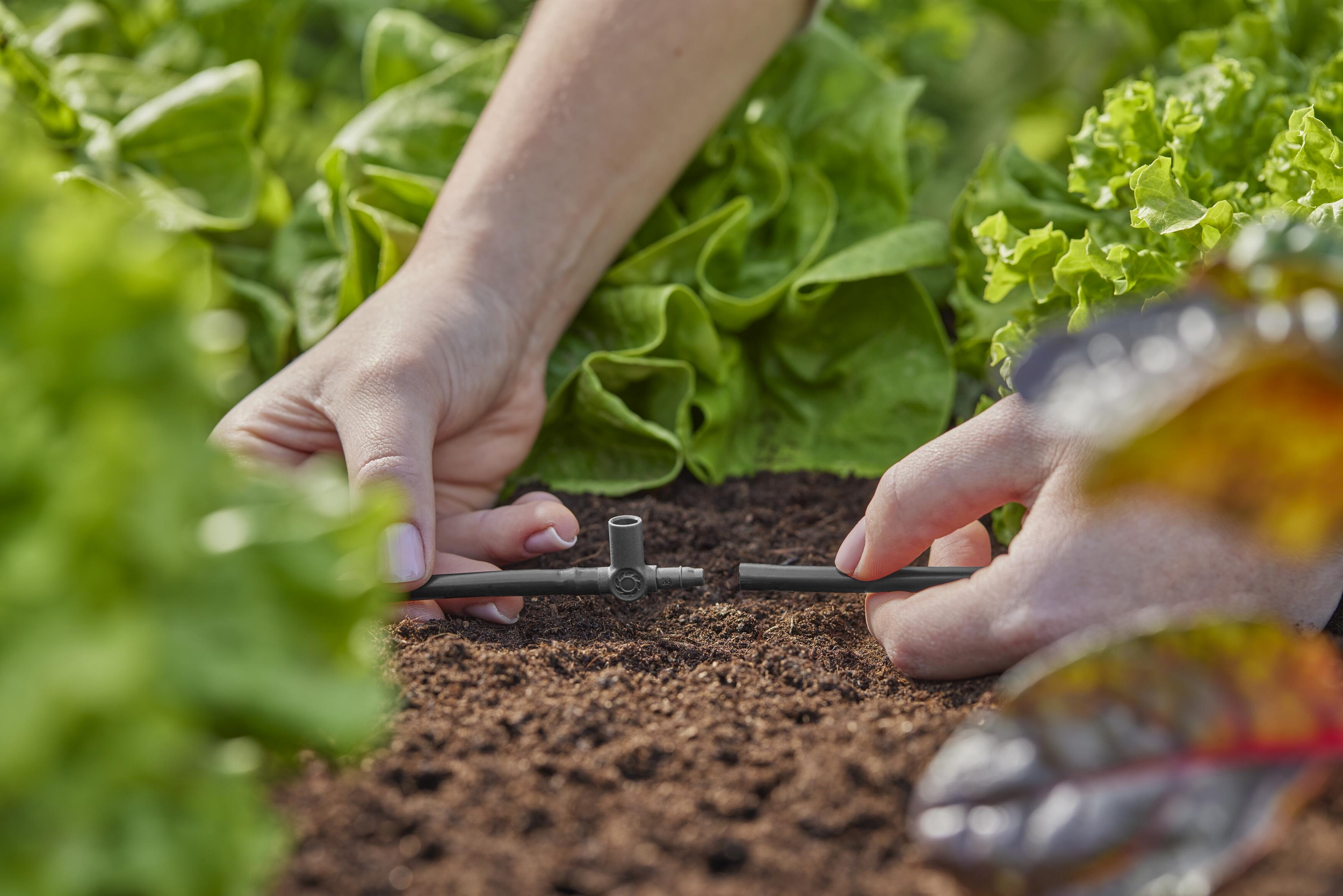 Gardena Micro-Drip-System T-Stück für Sprühdüsen/Endtropfer 4,6 mm (3/16")
