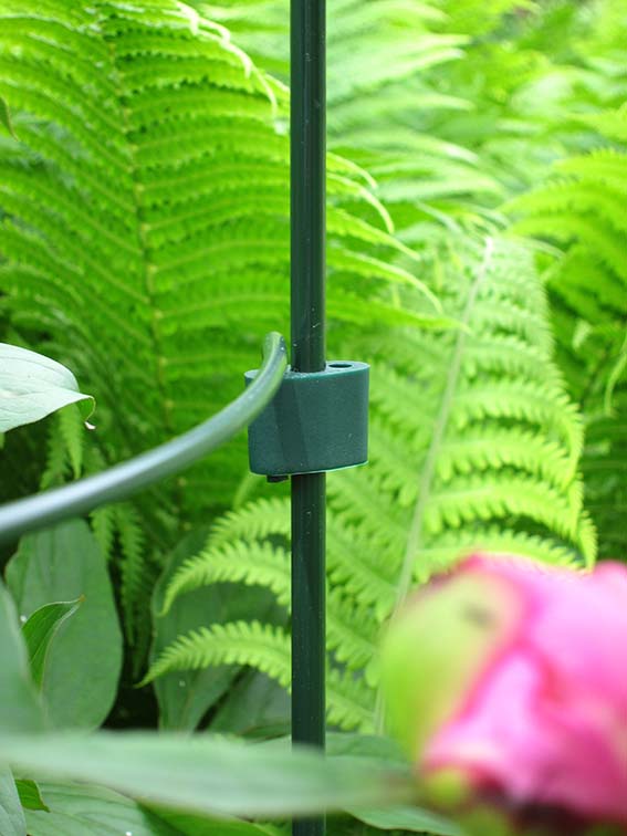 0702633094004_sfeer-1SfgbcW5tIPj6A Peacock Standard Kupplung, 7mm