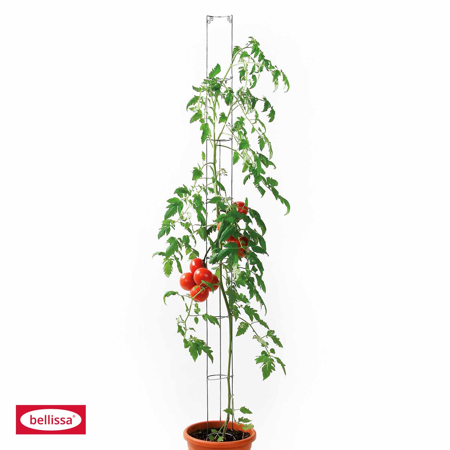 510210-1 TOMATENSÄULE 160CM GRÜN