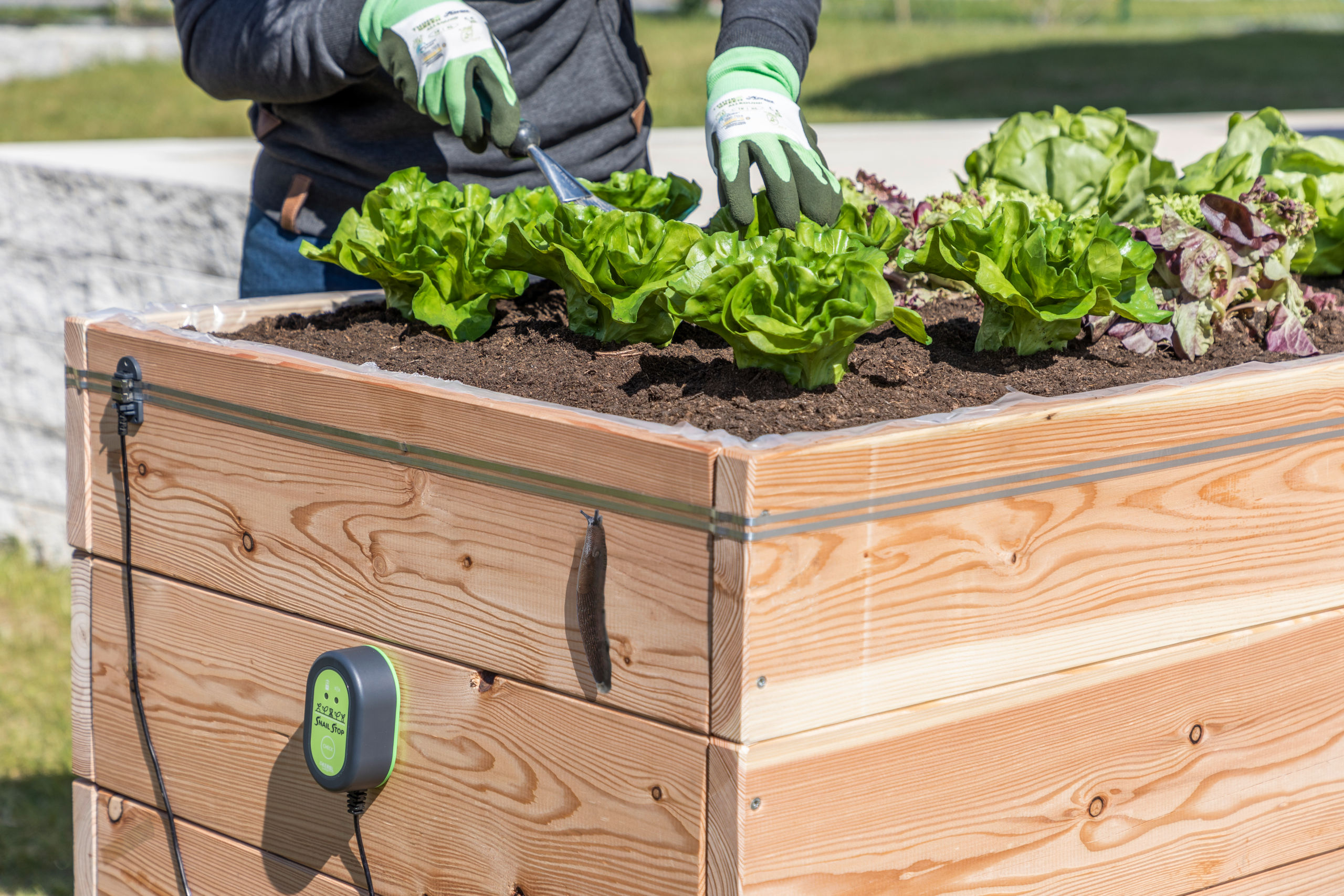 Kerbl SnailStop Starter-Set, Elektrischer Schneckenzaun
