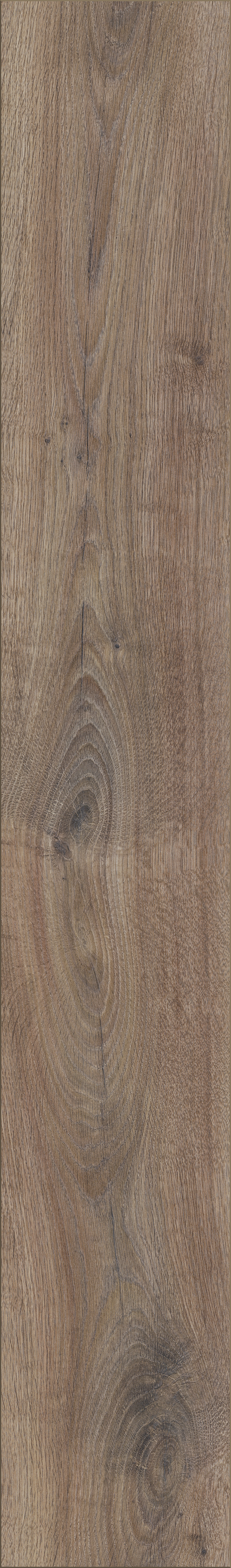 Euro Home Laminatboden River 12 Renaissance Oak Euro Home Laminatboden River 12 Renaissance Oak