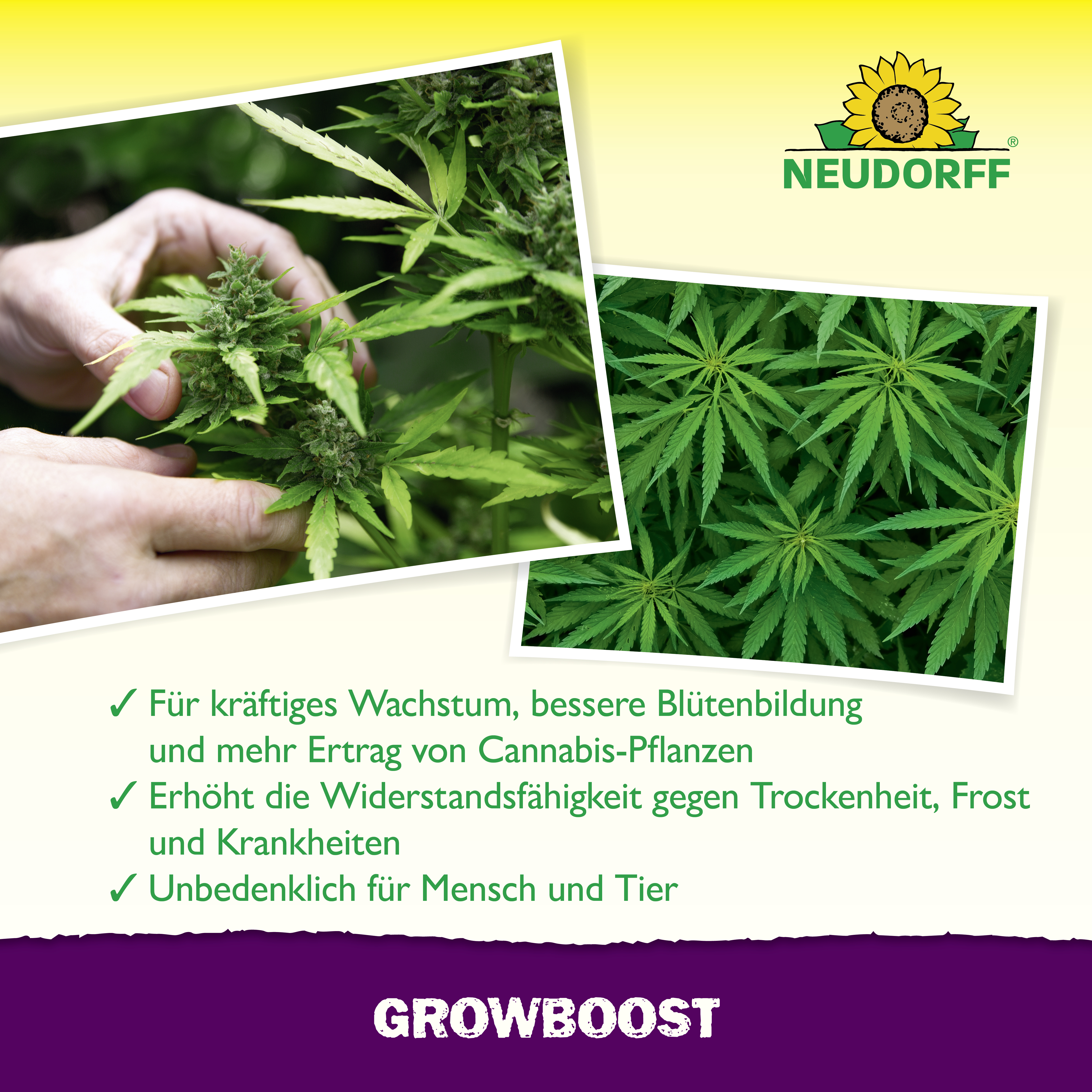 Neudorff GrowBoost