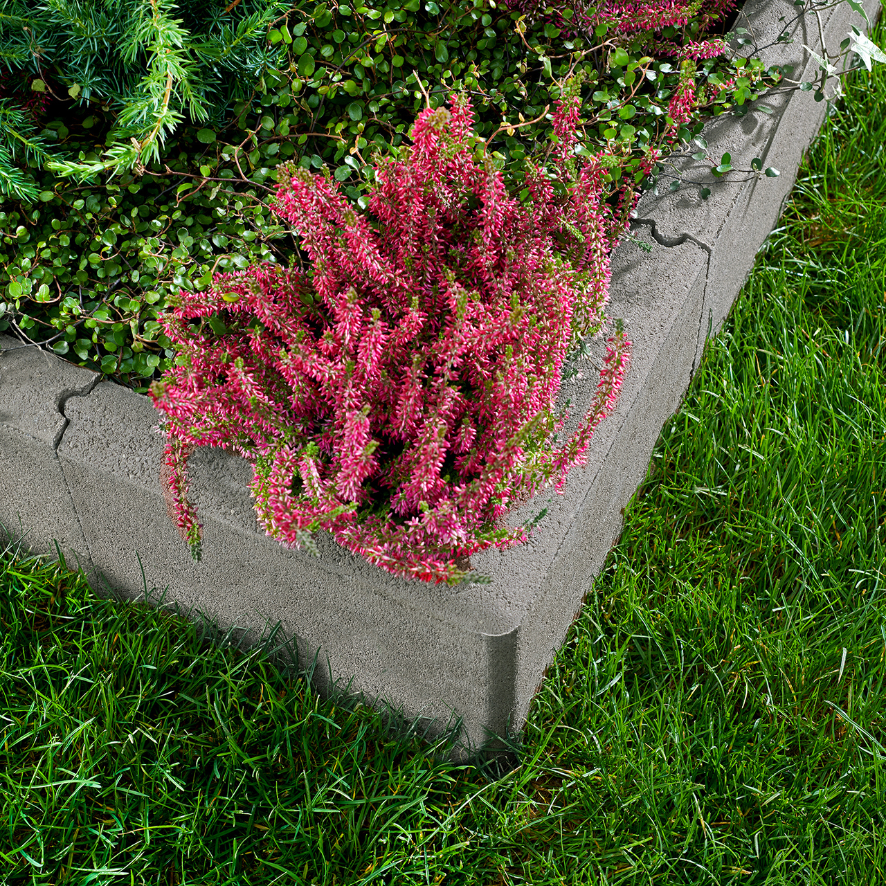 225859_Szene1 Kann Randstein-90°Ecke