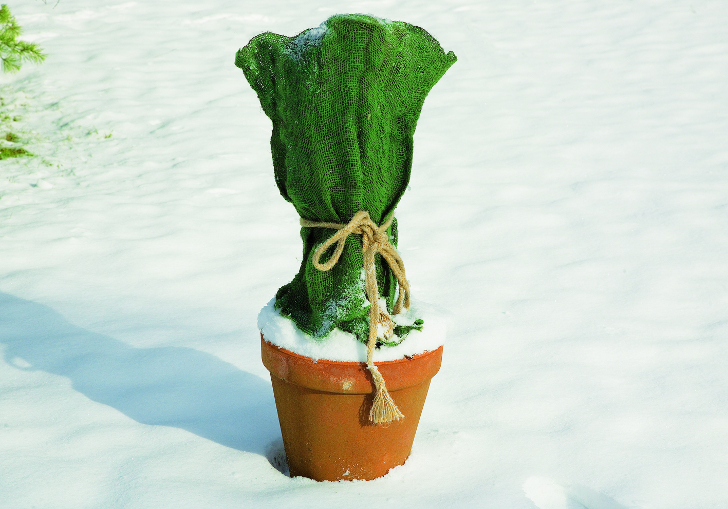 Floraworld Gartensack jute, grün, 60 x 80 cm Floraworld Gartensack jute, grün, 60 x 80 cm