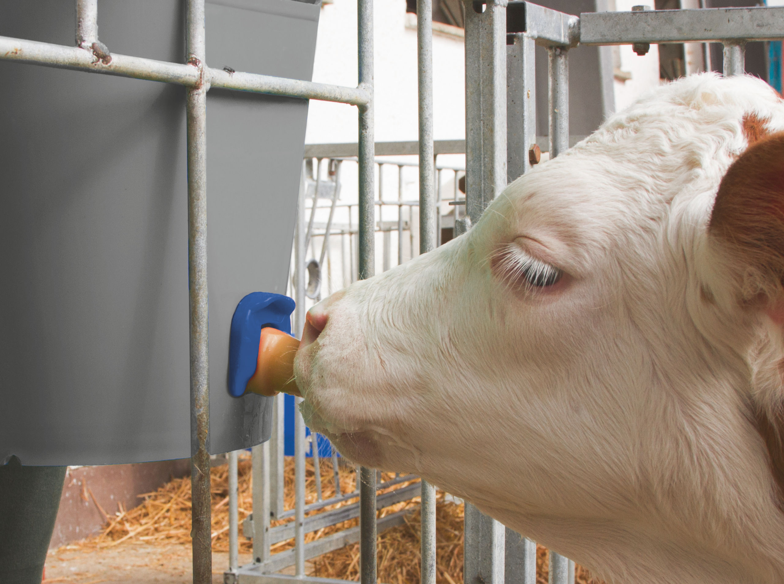 Kerbl Tränkeventil FixClip neu mit Naturkautschuk-Sauger