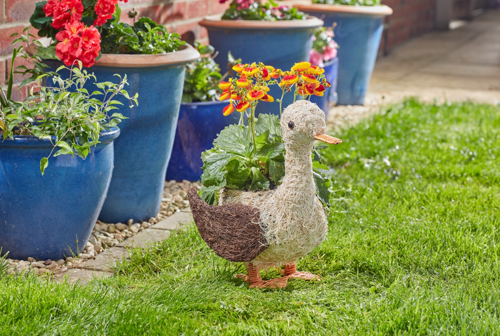 Smart Garden Übertopf Daphne die Ente