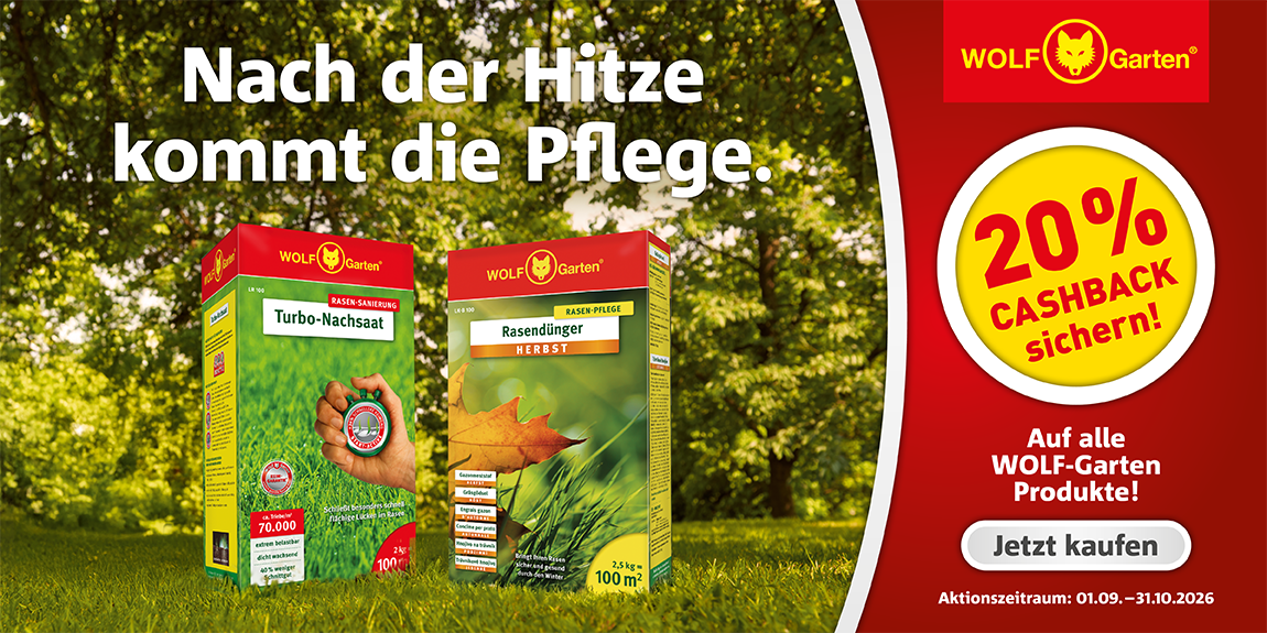 WG26_CASHBACK-Rasensanierung_Web-1150x575px_260914
