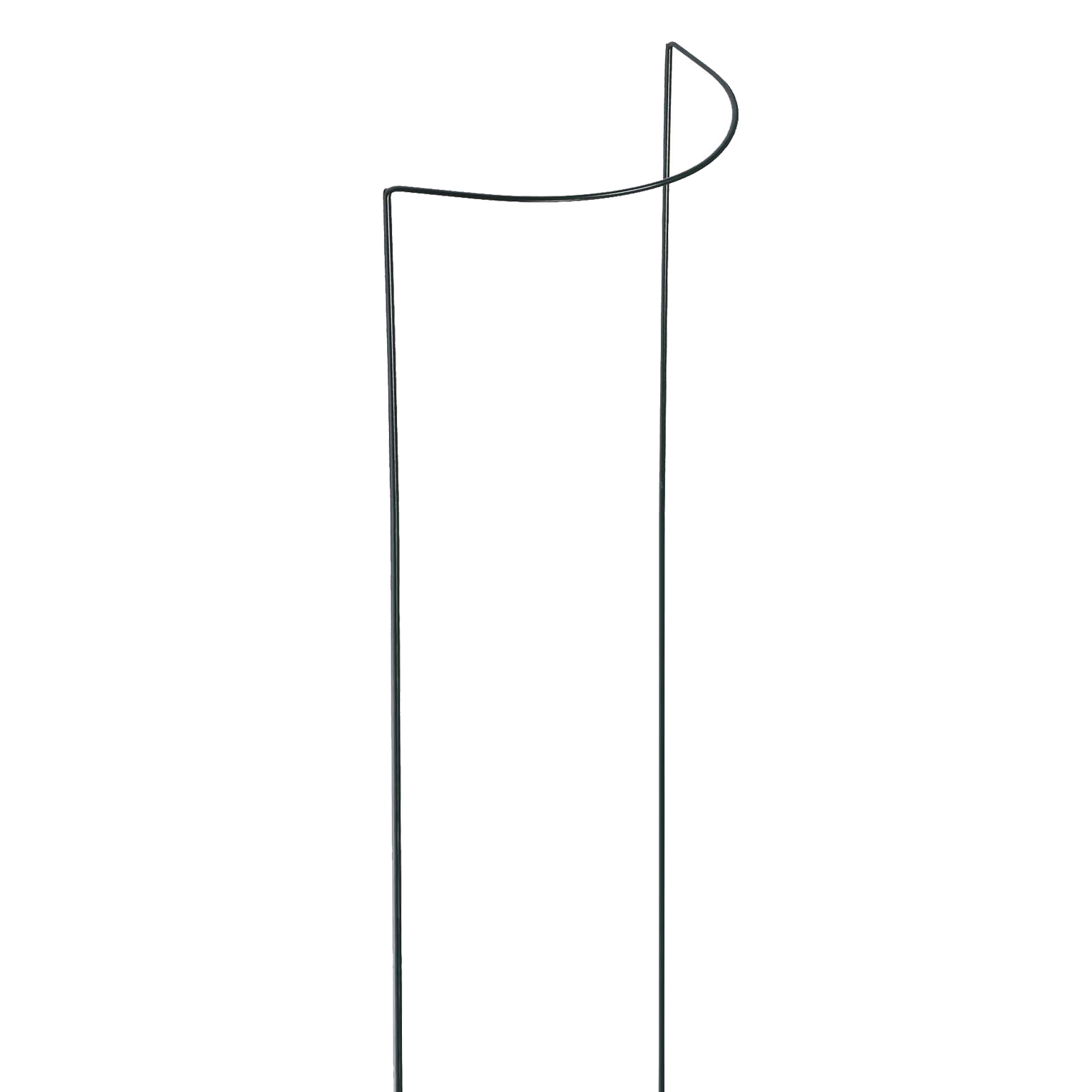 0702633081332oZryuttLqPcjP Strauchstütze halbrund