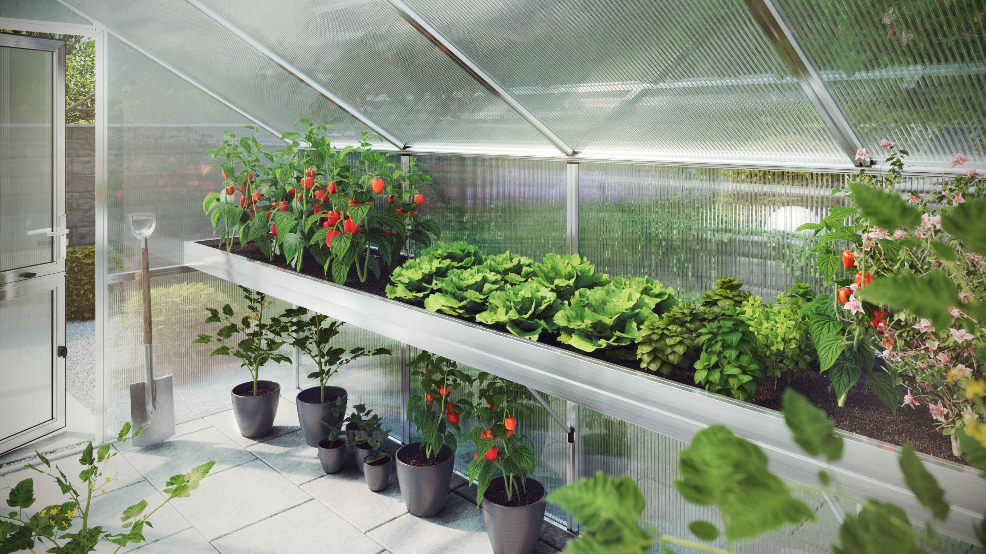 KGT Pflanzwanne Orchidee IV, aluminium KGT Pflanzwanne Orchidee IV, aluminium